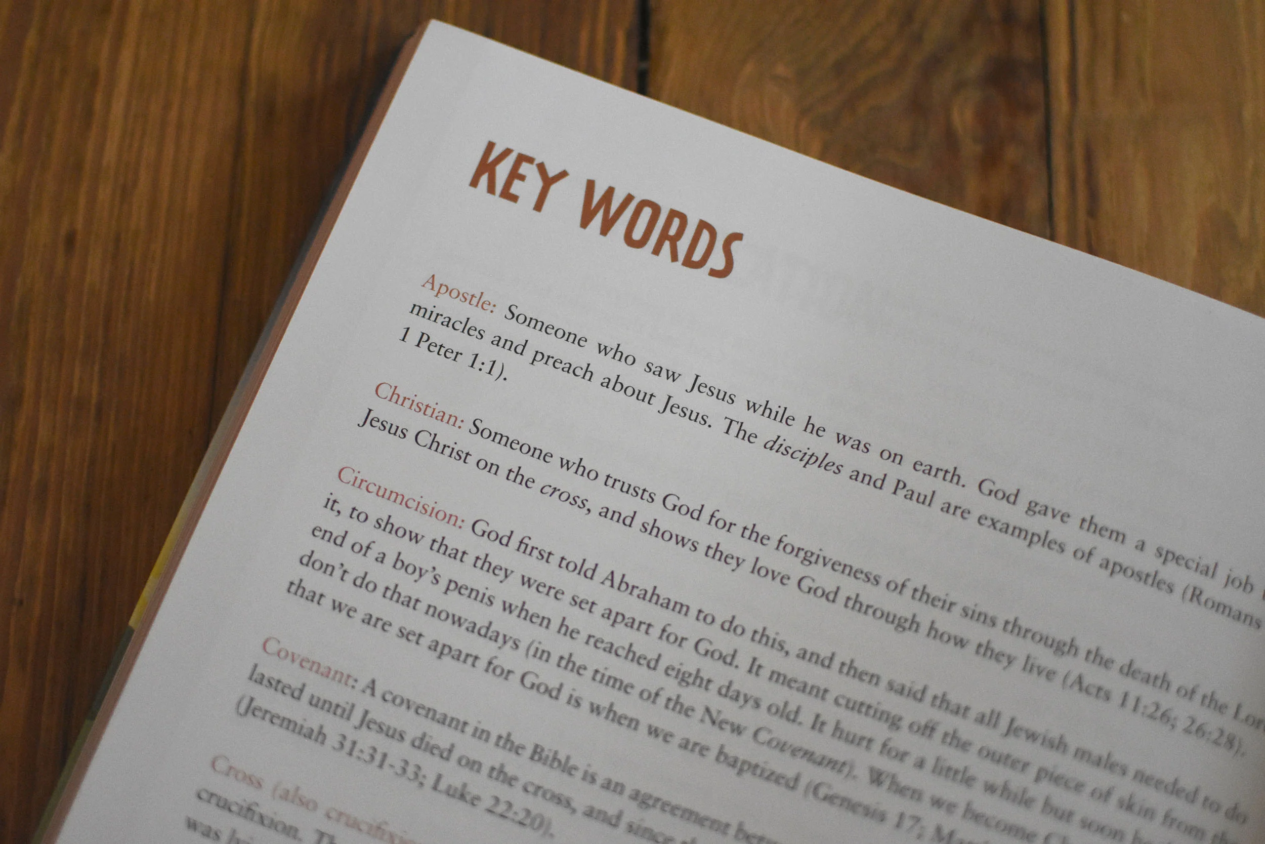 66 Books: One Story: A Guide to Every Book of the Bible - Image 4