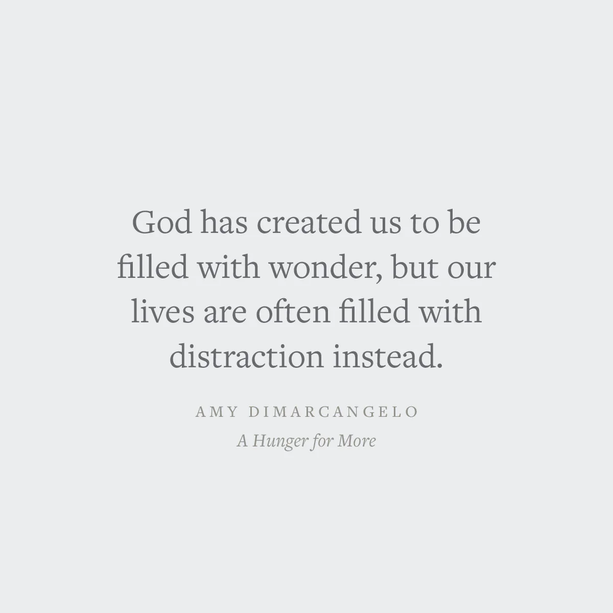 A Hunger for More: Finding Satisfaction in Jesus When the Good Life Doesn't Fill You (Gospel Coalition) - Image 3