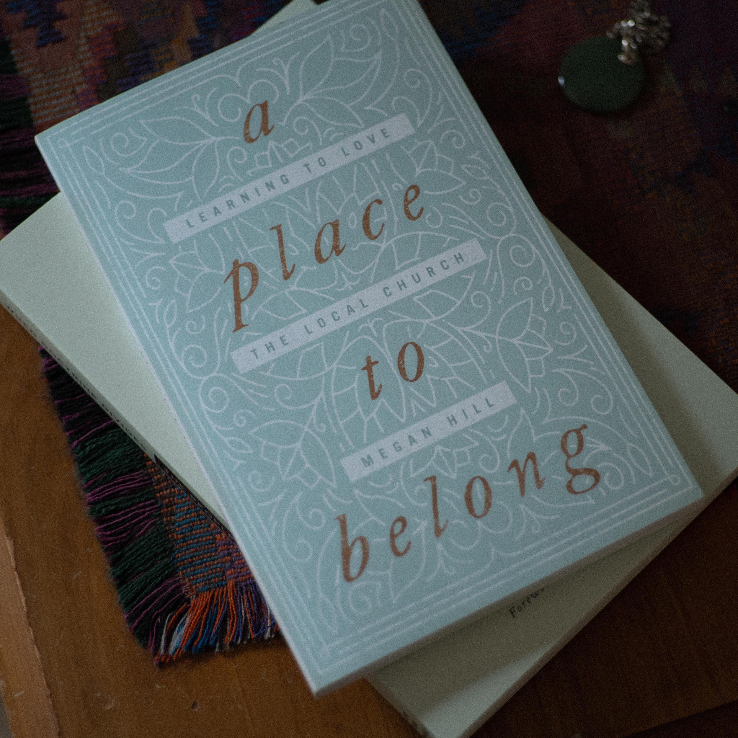 A Place to Belong: Learning to Love the Local Church - Image 3