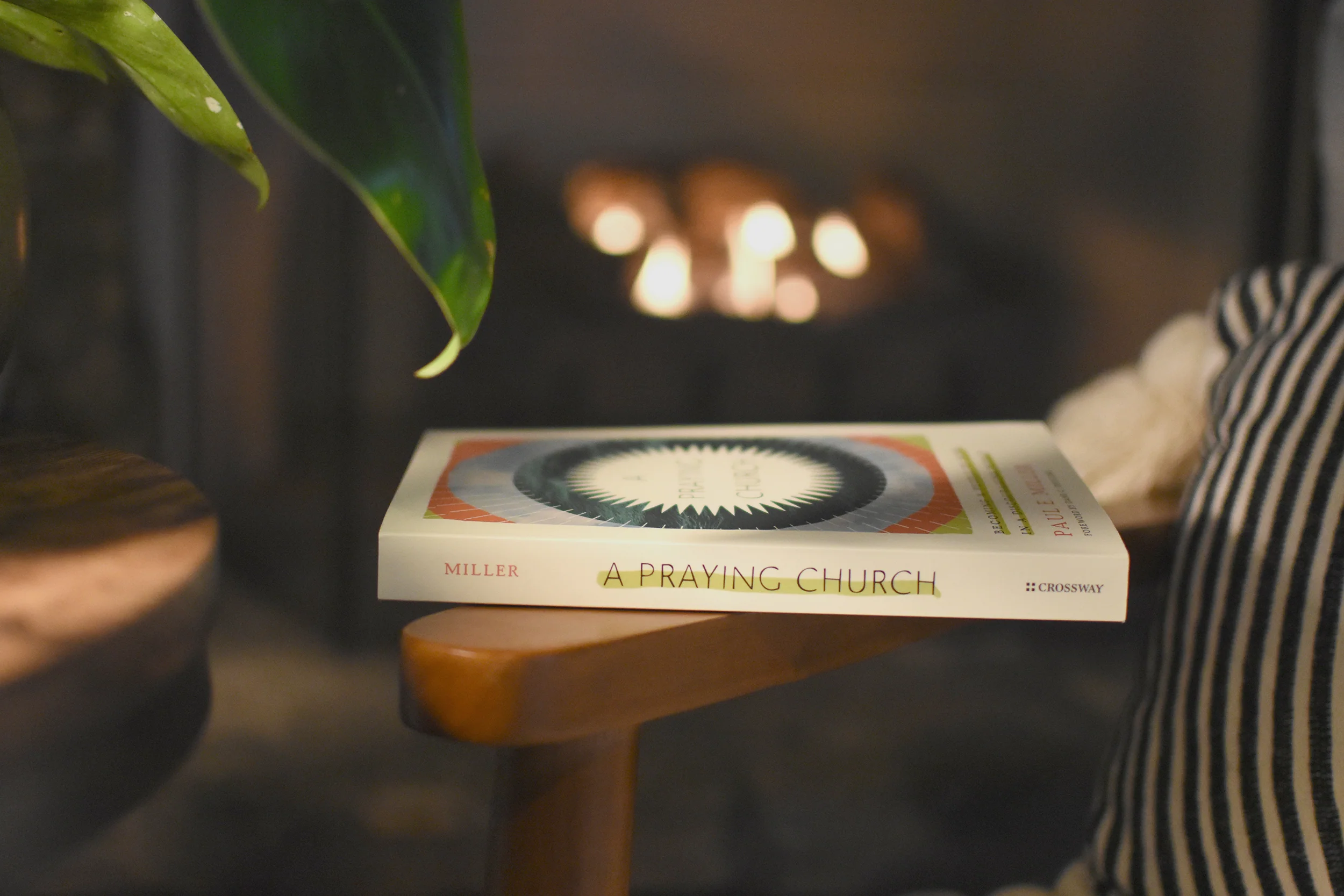 A Praying Church: Becoming a People of Hope in a Discouraging World - Image 2