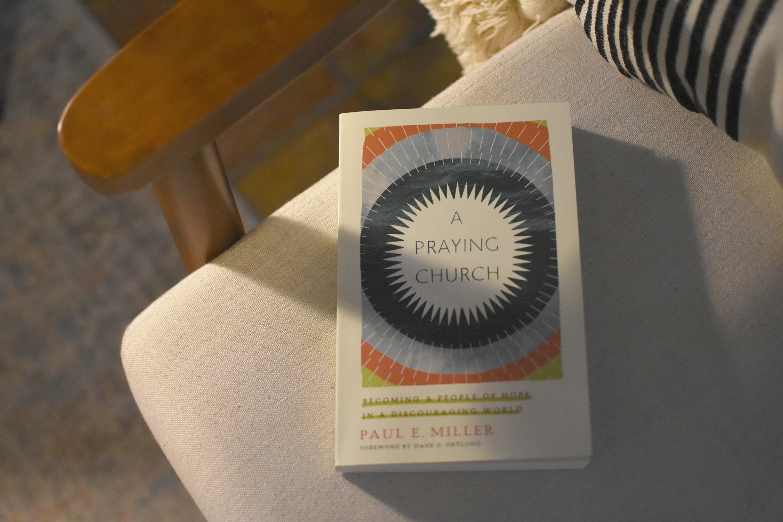 A Praying Church: Becoming a People of Hope in a Discouraging World - Image 3