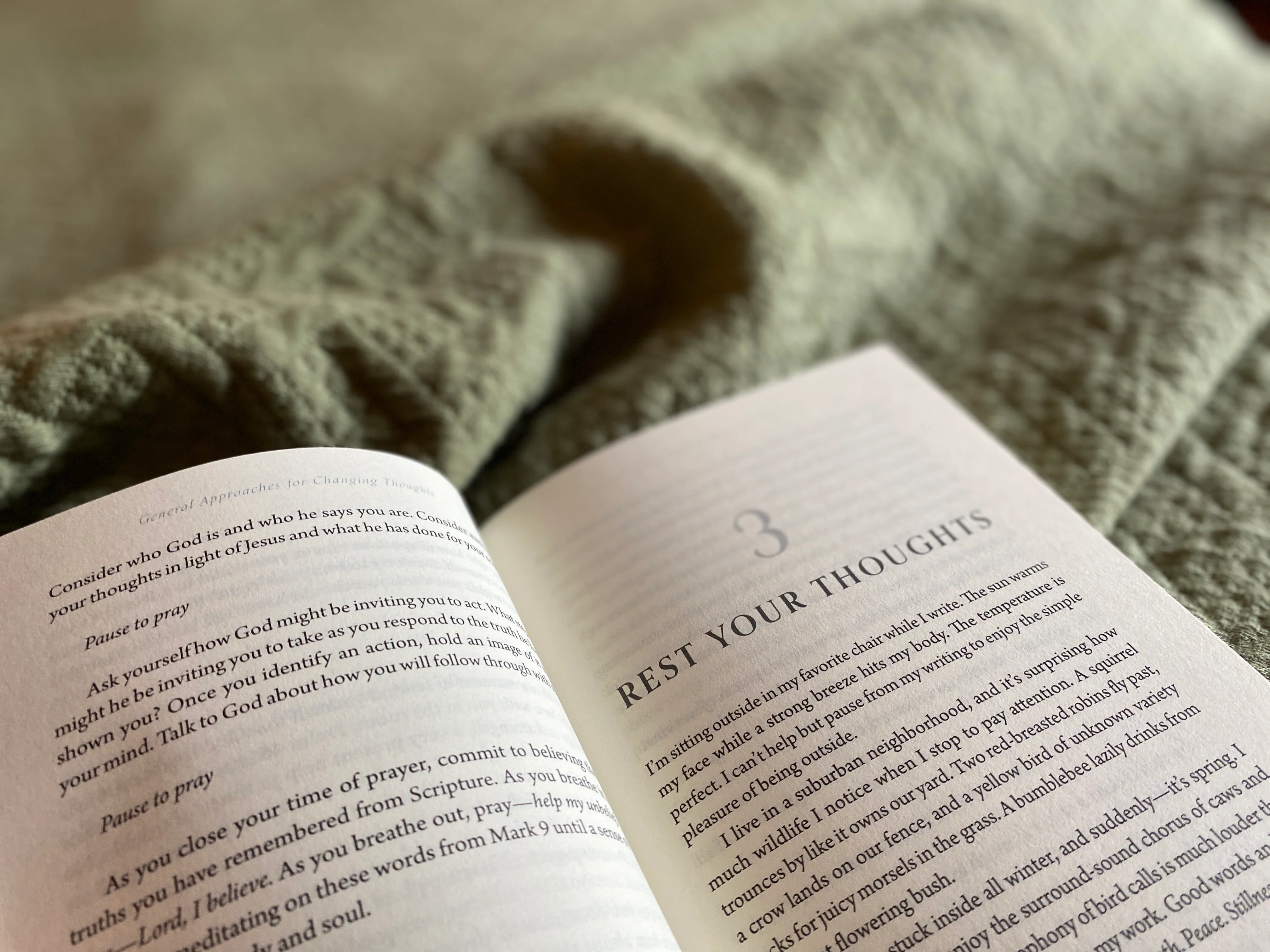 A Still and Quiet Mind: Twelve Strategies for Changing Unwanted Thoughts - Image 3