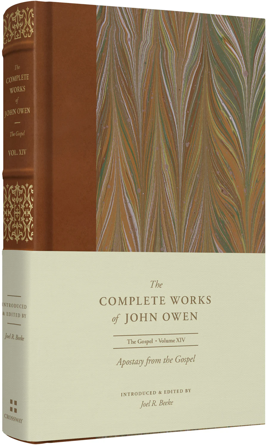 Apostasy from the Gospel (Volume 14) (Complete Works of John Owen)