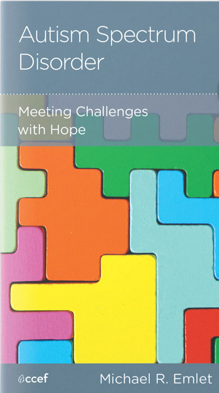 Autism Spectrum Disorder: Meeting Challenges with Hope - Image 2