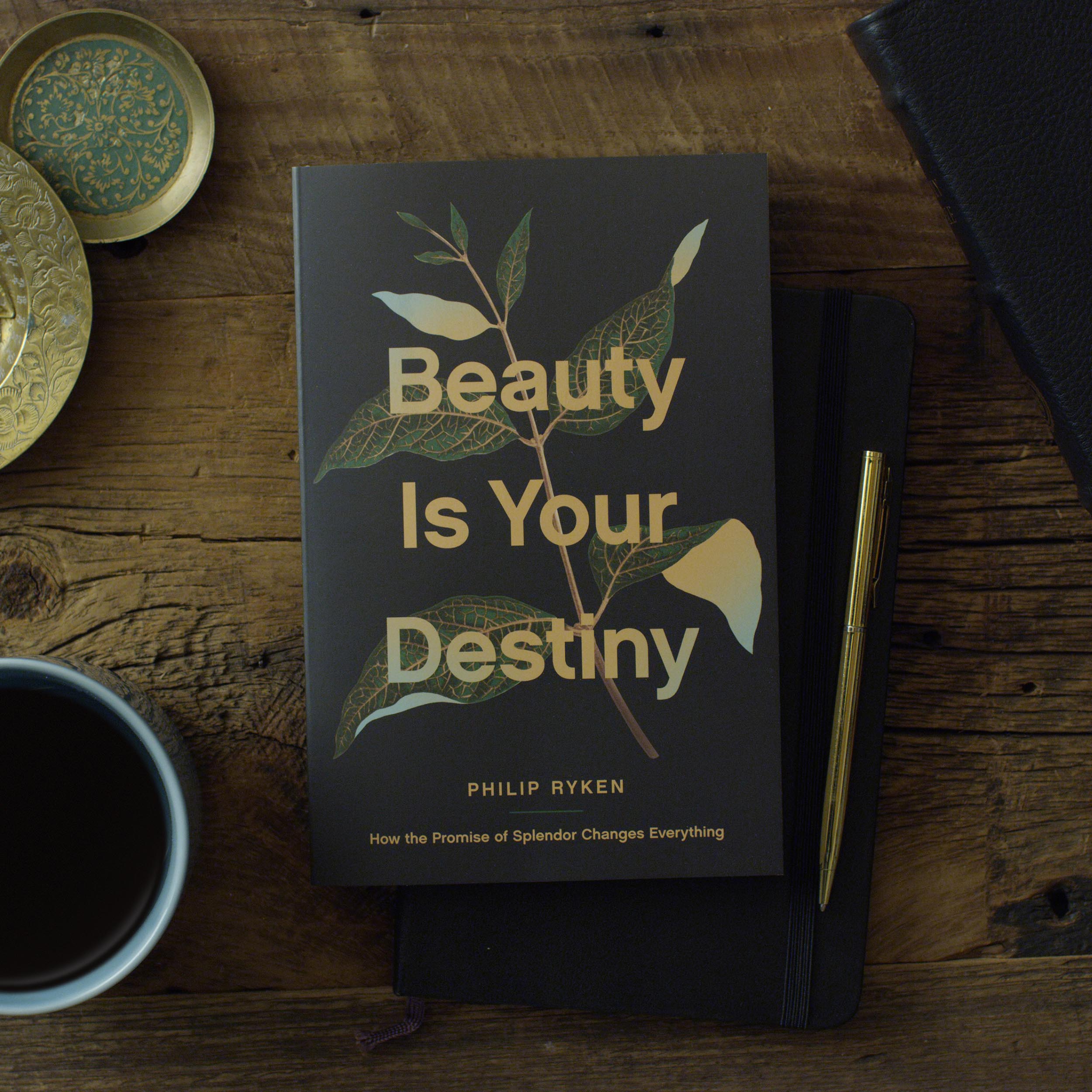 Beauty Is Your Destiny: How the Promise of Splendor Changes Everything - Image 2
