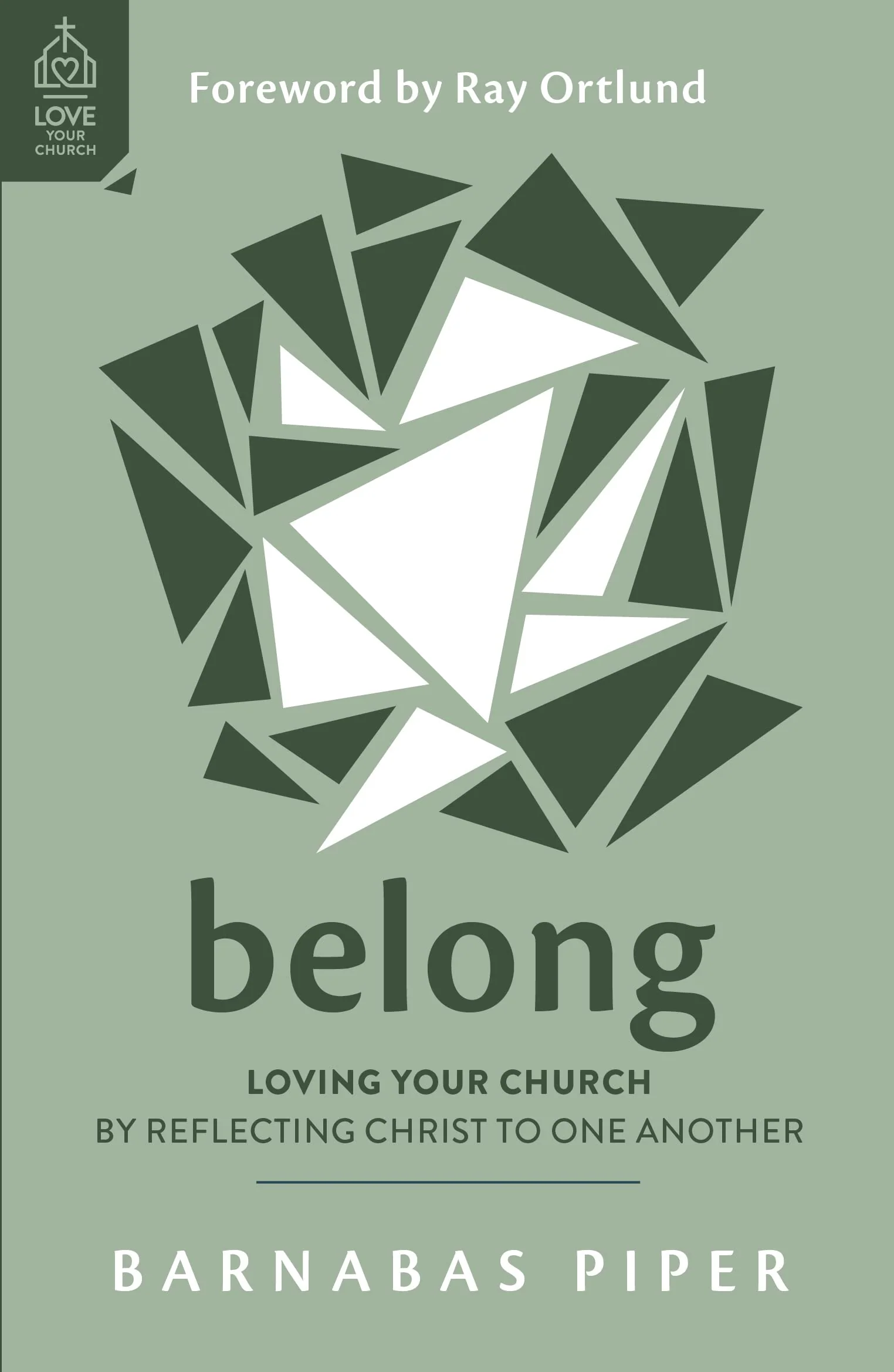 Belong: Loving Your Church by Reflecting Christ to One Another (Love Your Church)