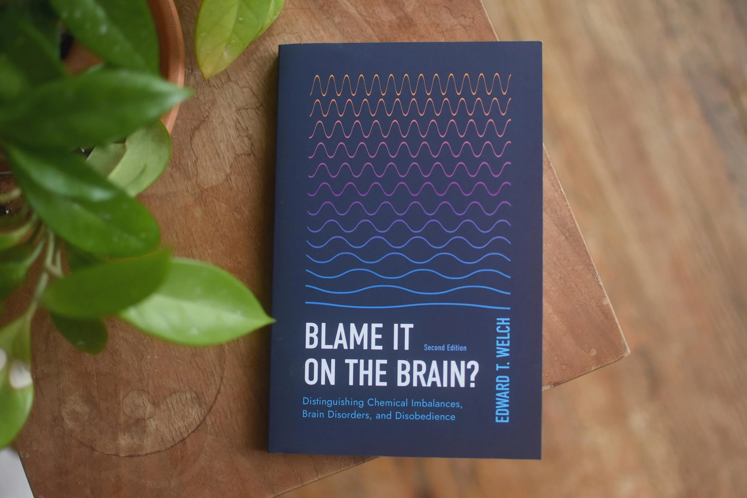 Blame It on the Brain?: Distinguishing Chemical Imbalances, Brain Disorders, and Disobedience - Image 3