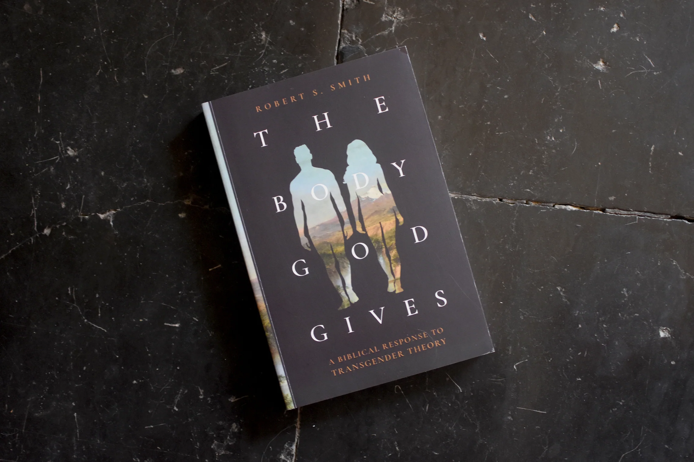 The Body God Gives: A Biblical Response to Transgender Theory - Image 5