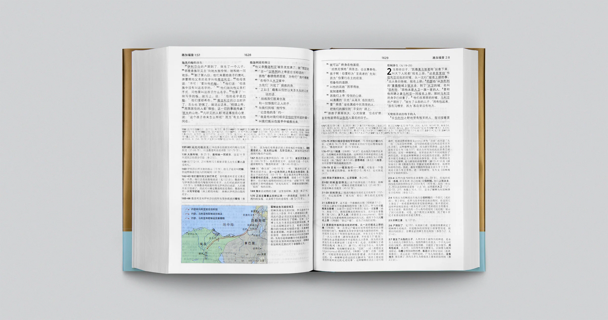 Chinese Study Bible (Hardcover) - Image 3