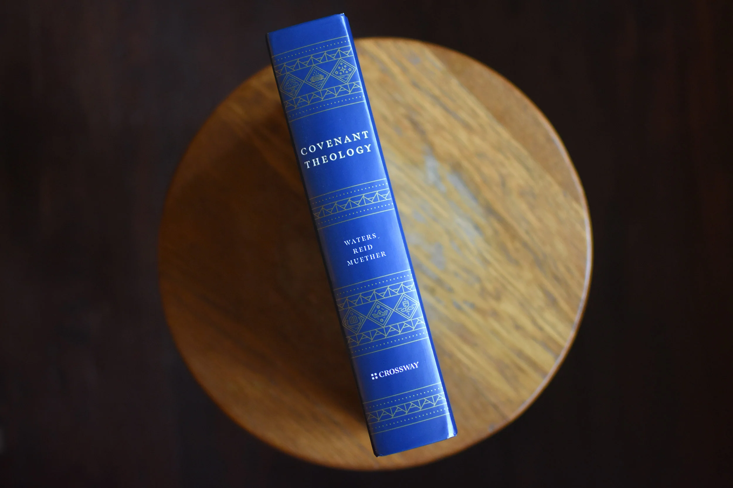 Covenant Theology: Biblical, Theological, and Historical Perspectives - Image 4