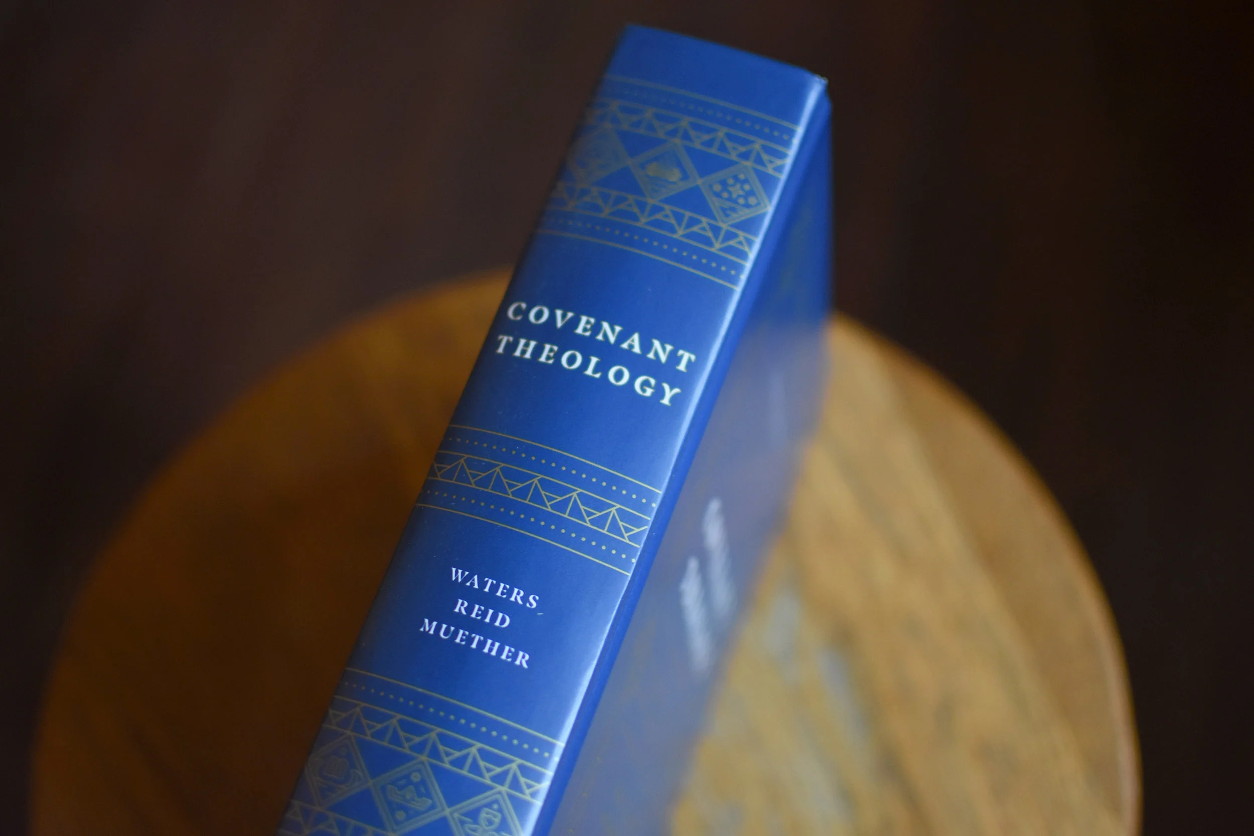 Covenant Theology: Biblical, Theological, and Historical Perspectives - Image 5