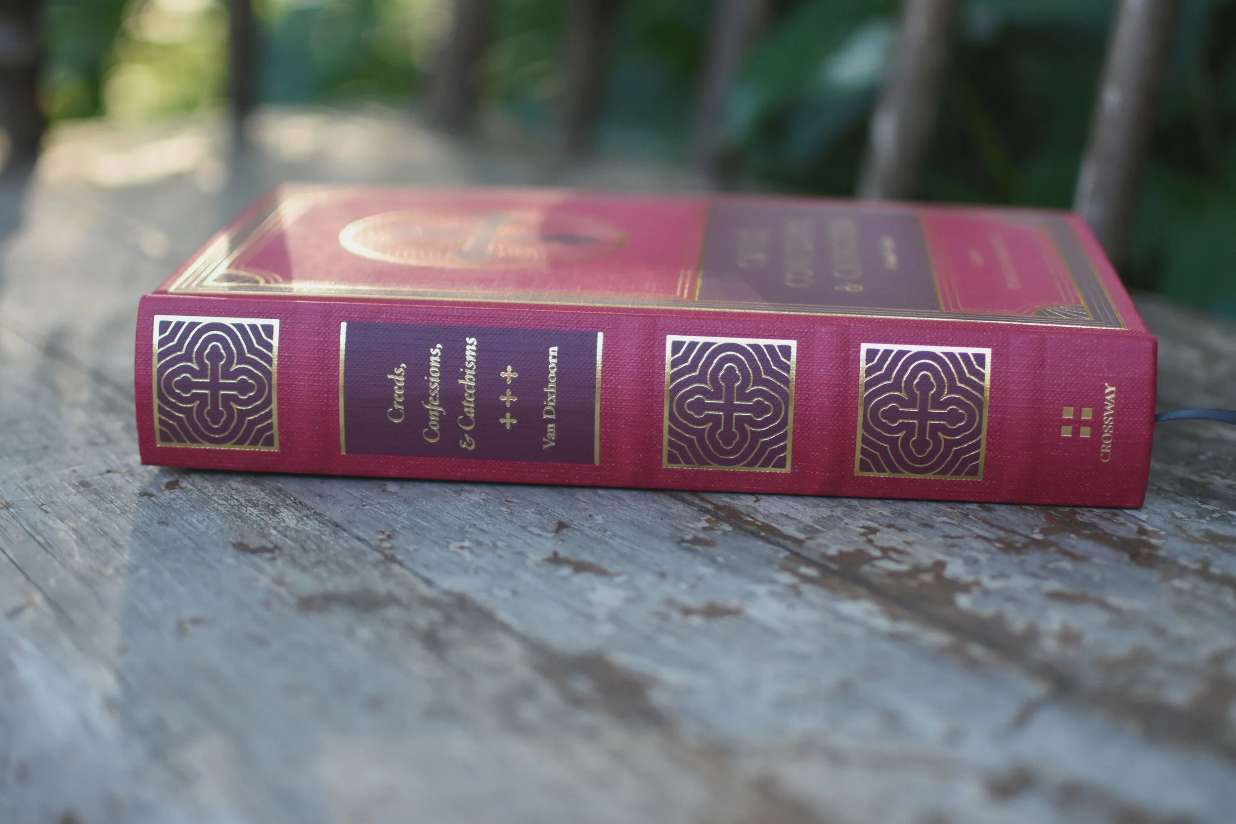 Creeds, Confessions, and Catechisms: A Reader's Edition - Image 4