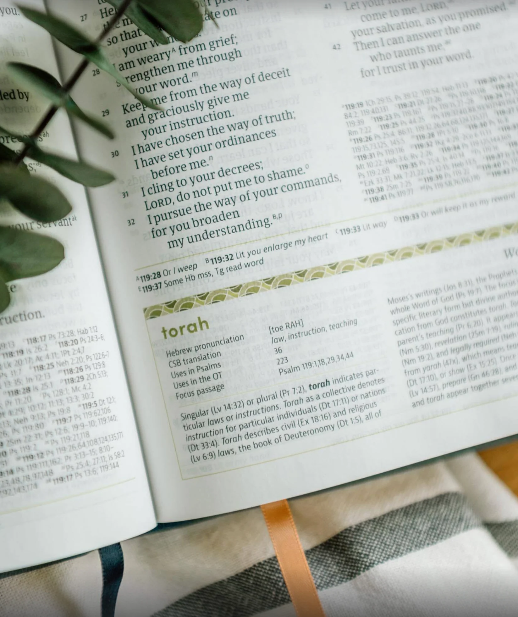 CSB Life Counsel Bible, Slate Blue Leathertouch: Practical Wisdom for All of Life - Image 5