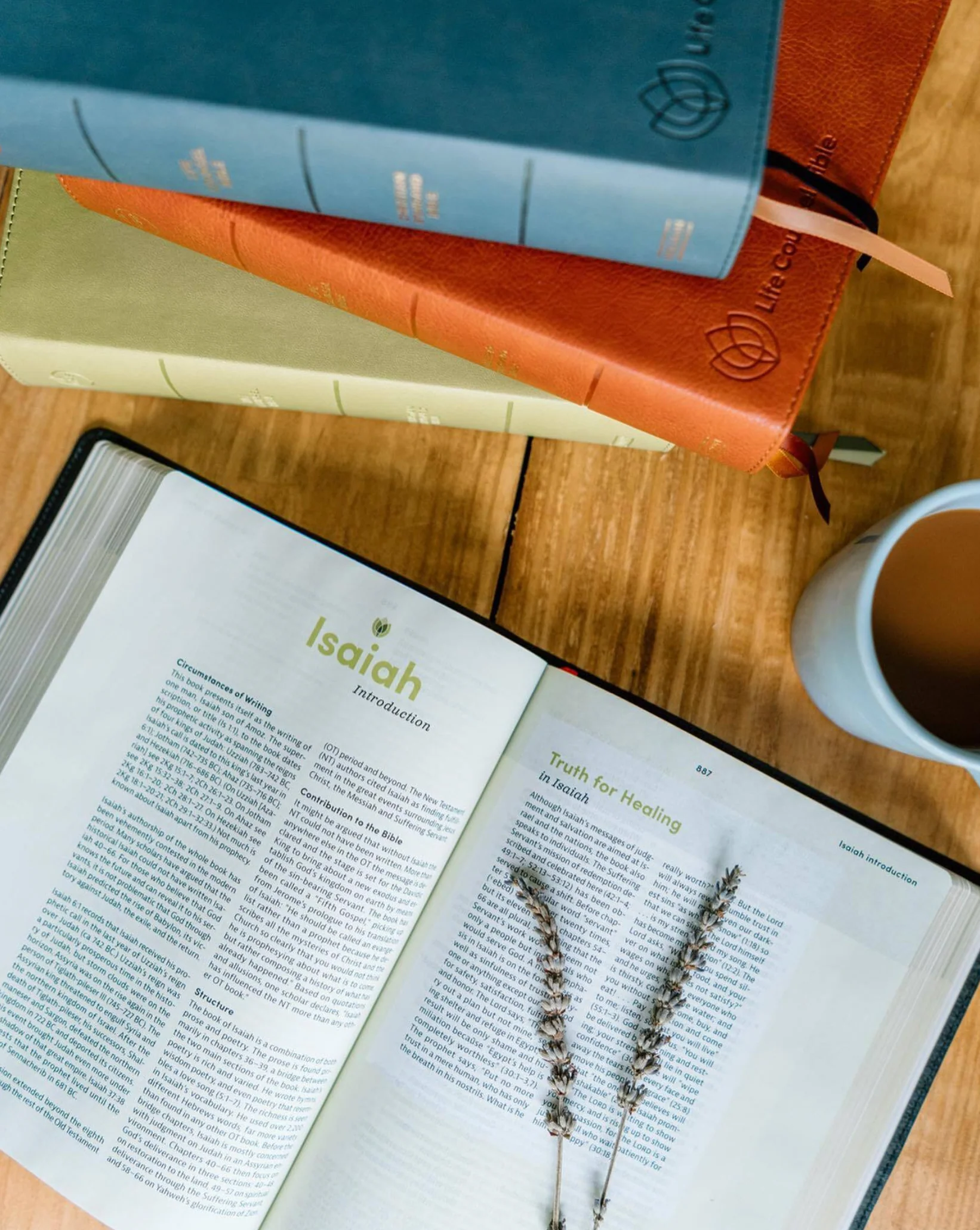 CSB Life Counsel Bible, Slate Blue Leathertouch: Practical Wisdom for All of Life - Image 6