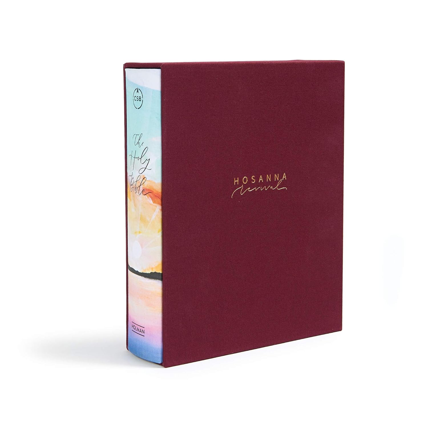 CSB Notetaking Bible, Hosanna Revival Edition, Lake - Image 2