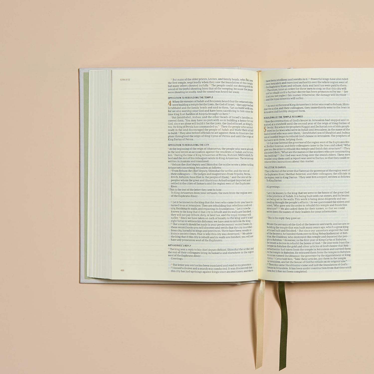 CSB Notetaking Bible, Hosanna Revival Edition, Lemons - Image 3