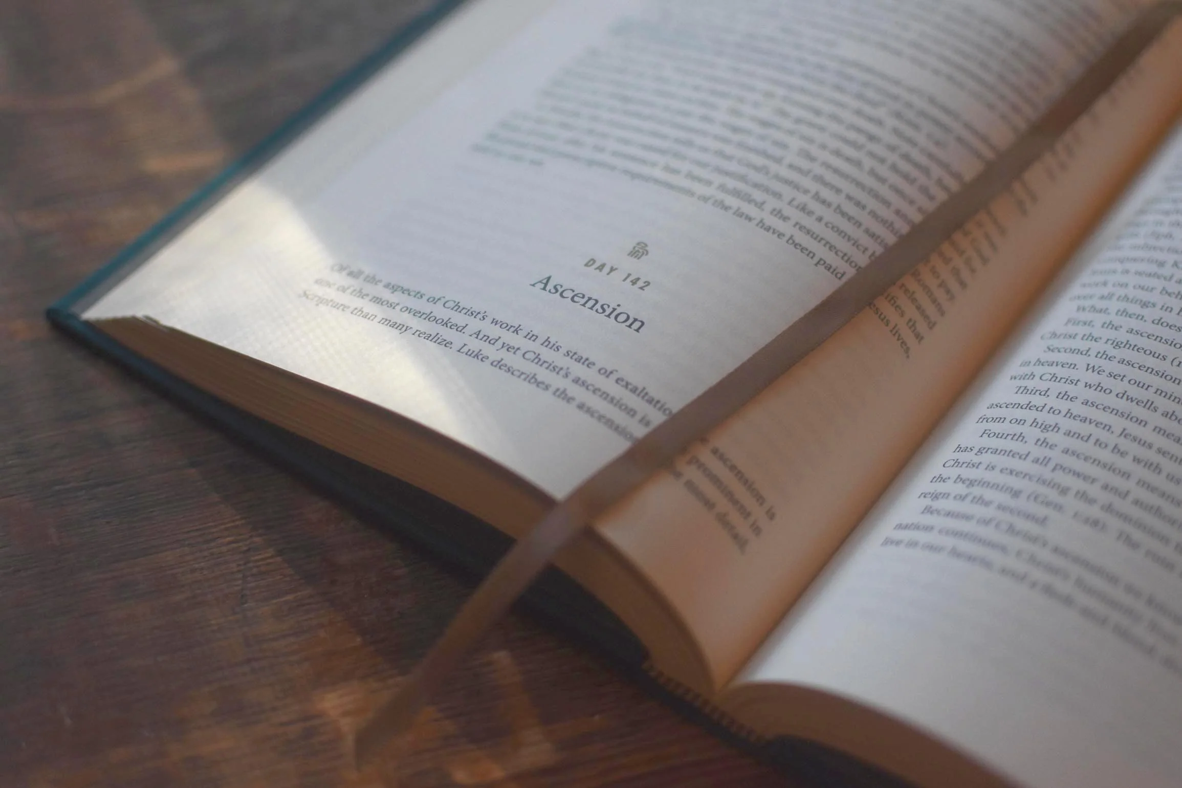 Daily Doctrine: A One-Year Guide to Systematic Theology - Image 4
