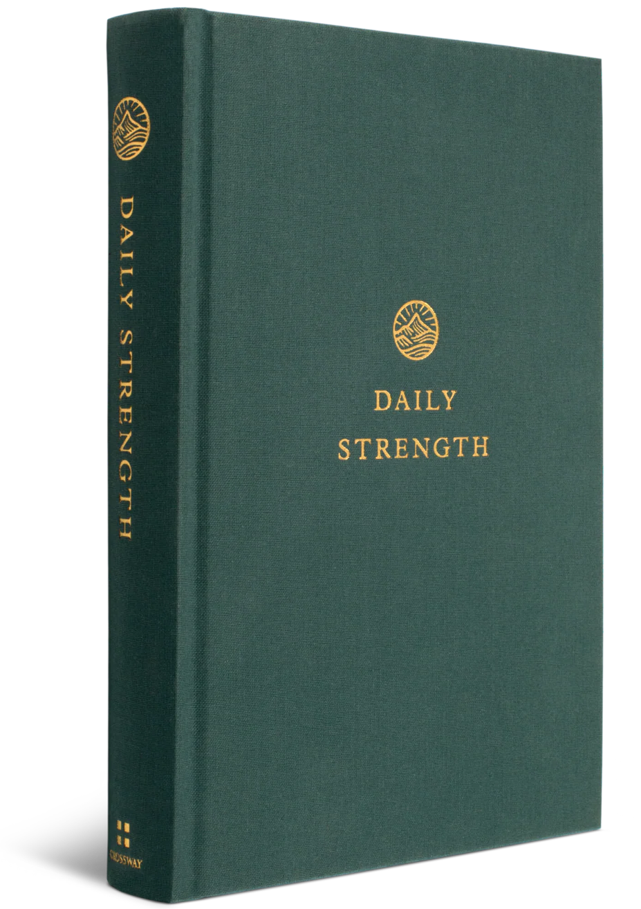 Daily Strength: A Devotional for Men - Image 2