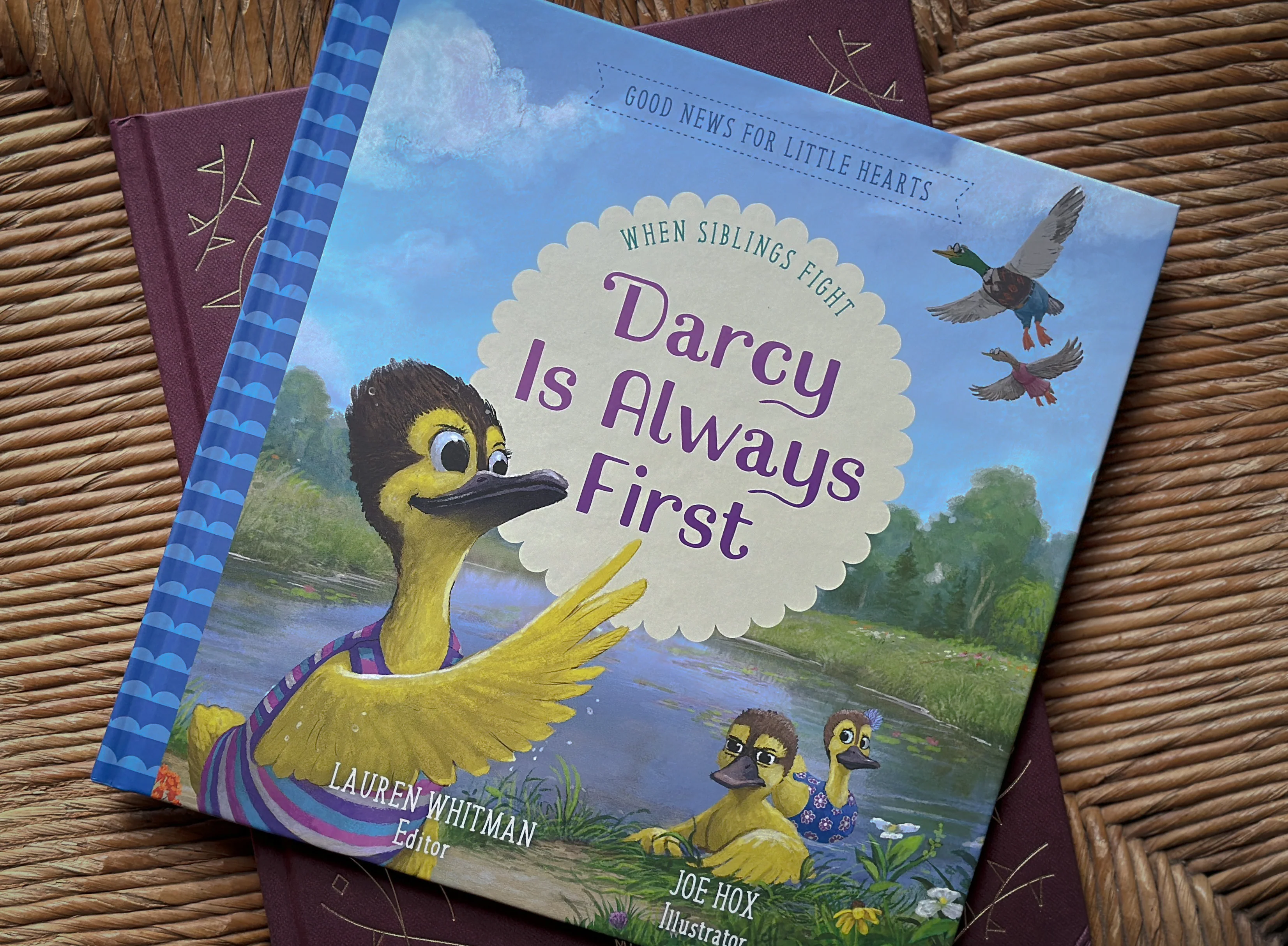 Darcy Is Always First: When Siblings Fight (Good News for Little Hearts) - Image 2