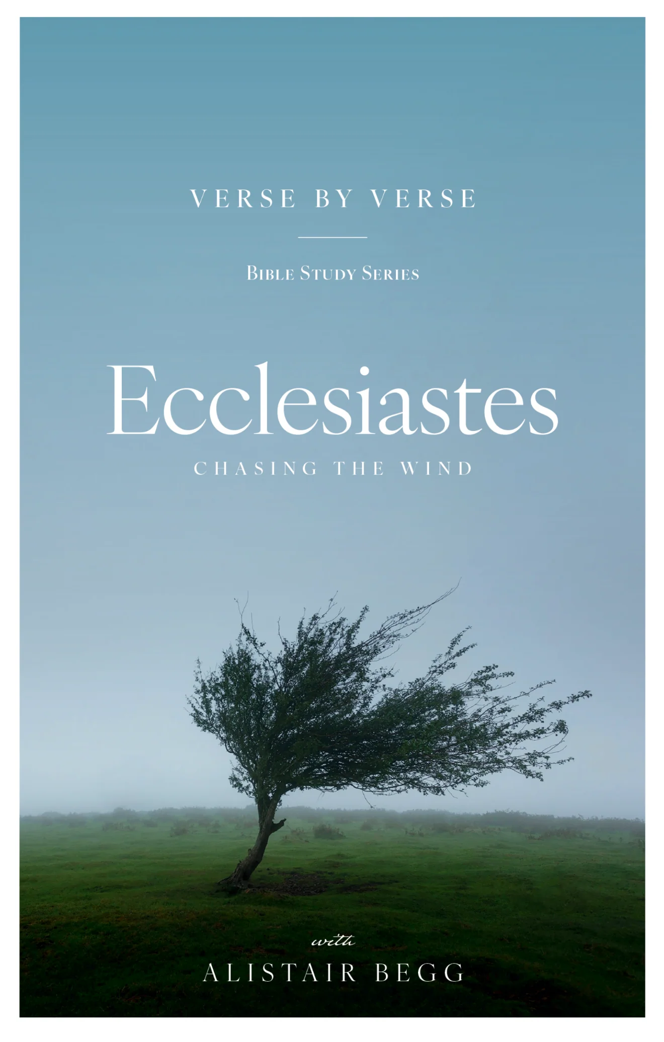 Ecclesiastes: Chasing the Wind