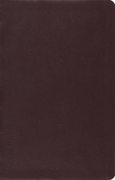 ESV Large Print Thinline Reference Bible (Top Grain Leather, Brown)