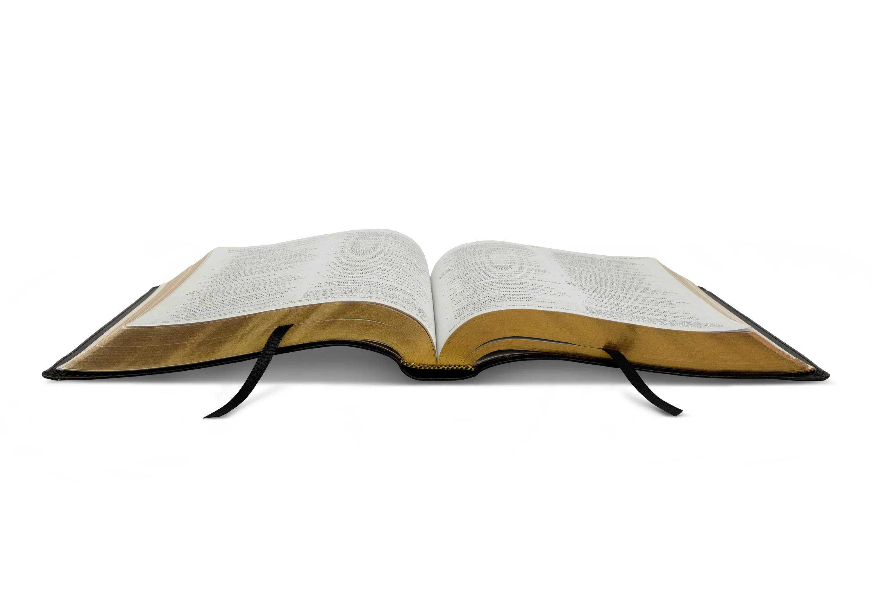 ESV Bible with Creeds and Confessions (TruTone, Black) - Image 7