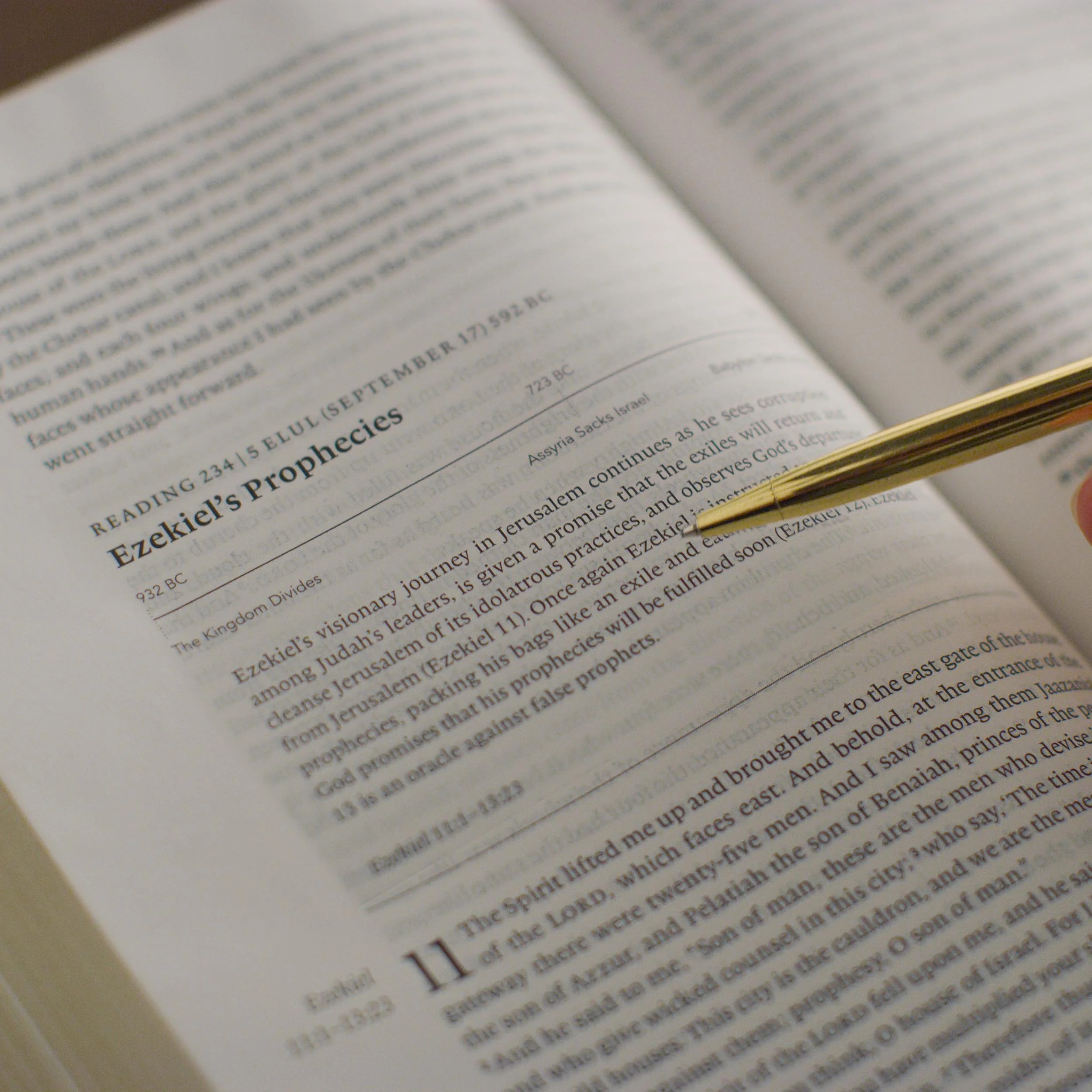 ESV Chronological Bible (Hardcover) - Image 4