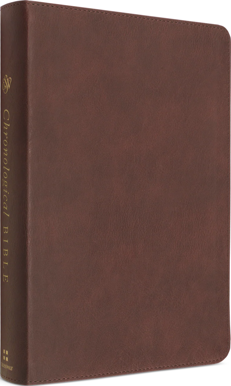 ESV Chronological Bible (Trutone, Brown) - Image 2
