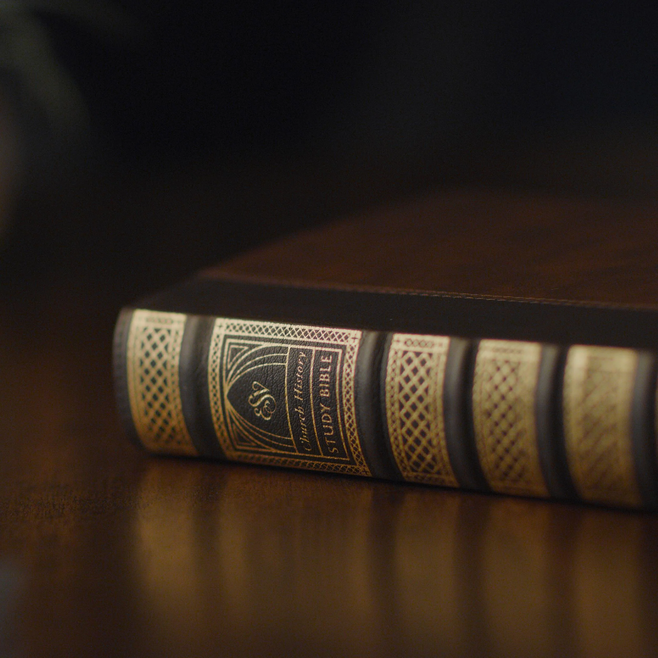 ESV Church History Study Bible: (Trutone, Brown/Walnut, Timeless Design) - Image 2