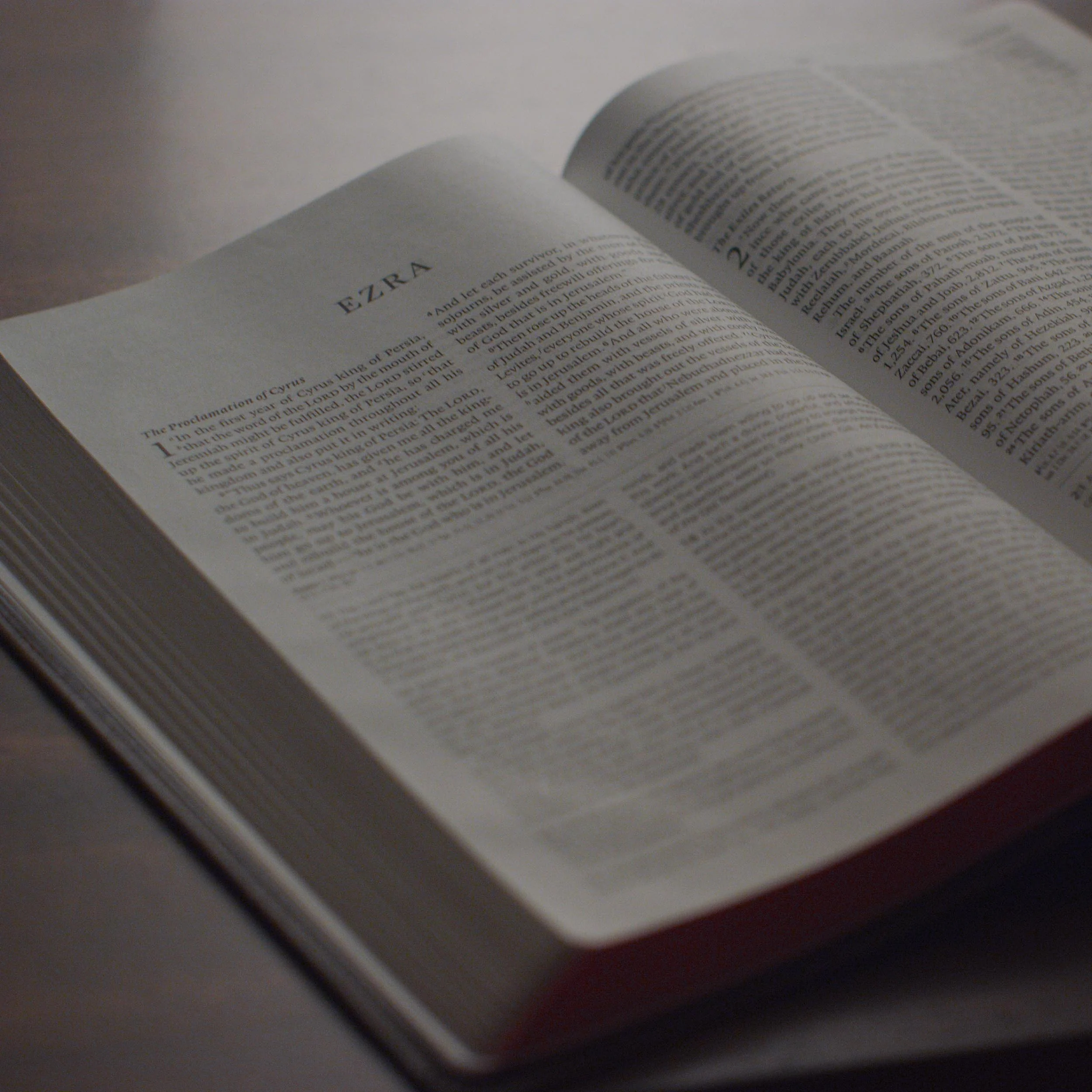 ESV Church History Study Bible: (Trutone, Brown/Walnut, Timeless Design) - Image 3