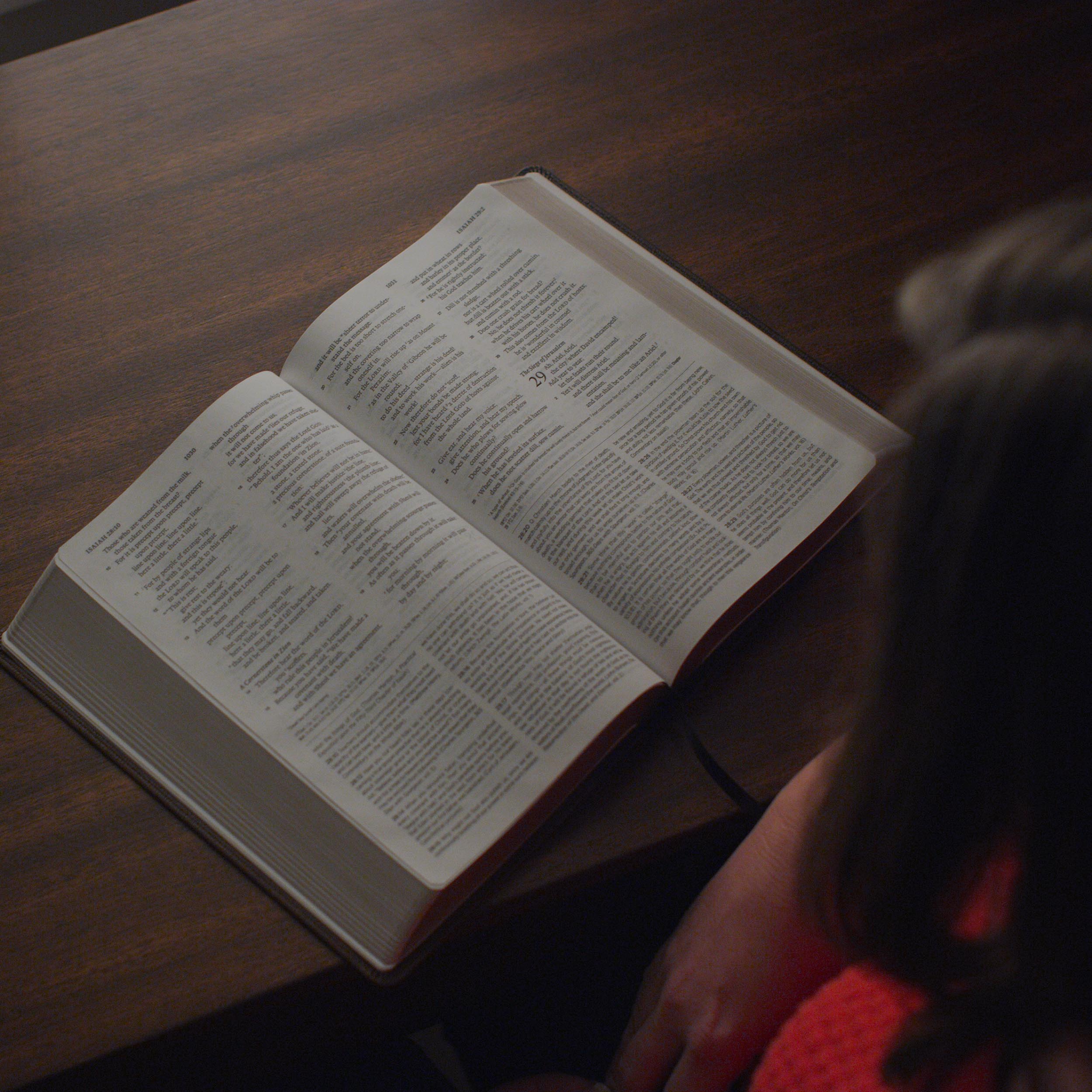 ESV Church History Study Bible: (Trutone, Brown/Walnut, Timeless Design) - Image 4