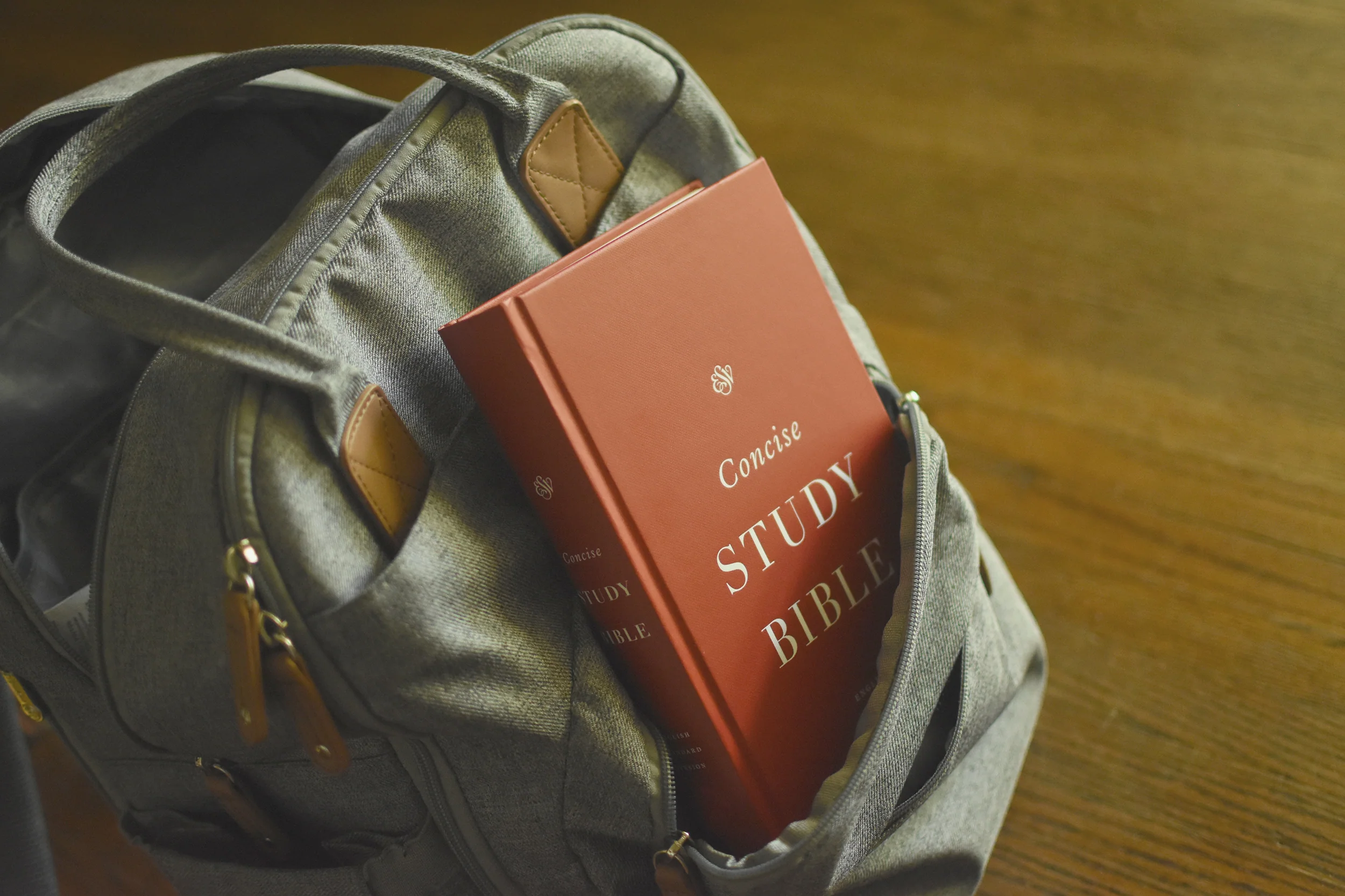 ESV Concise Study Bible (Hardcover) - Image 2