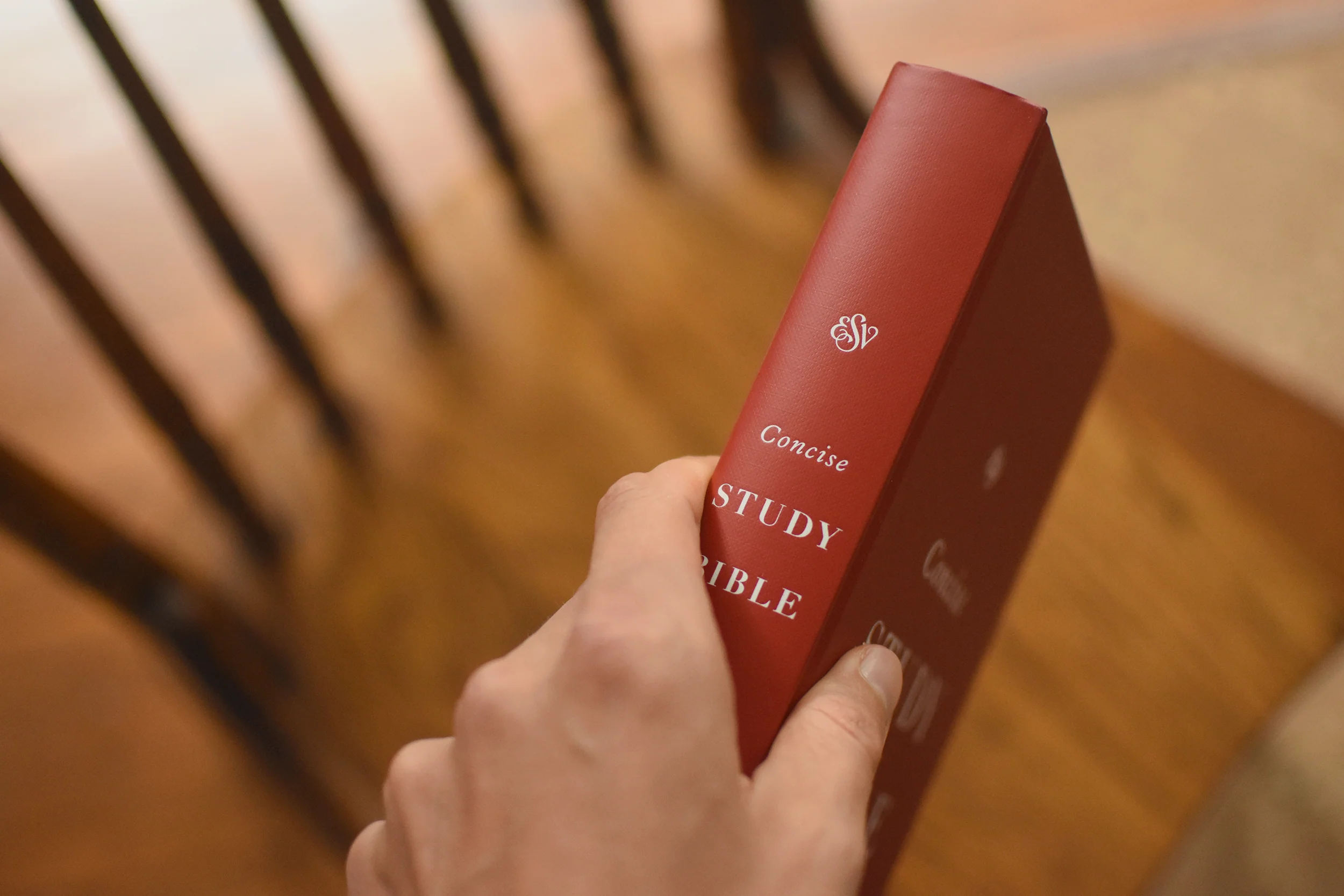 ESV Concise Study Bible (Hardcover) - Image 7