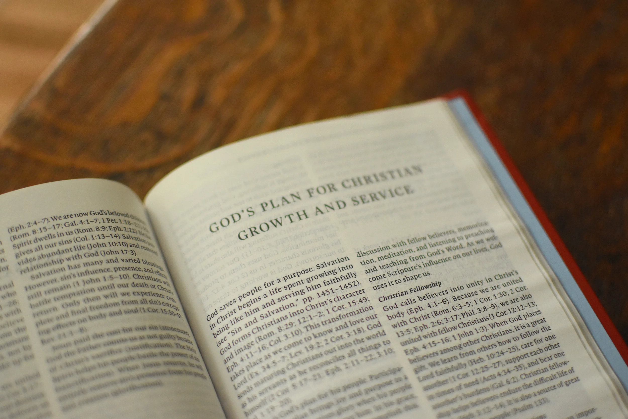 ESV Concise Study Bible, Economy Edition - Image 6