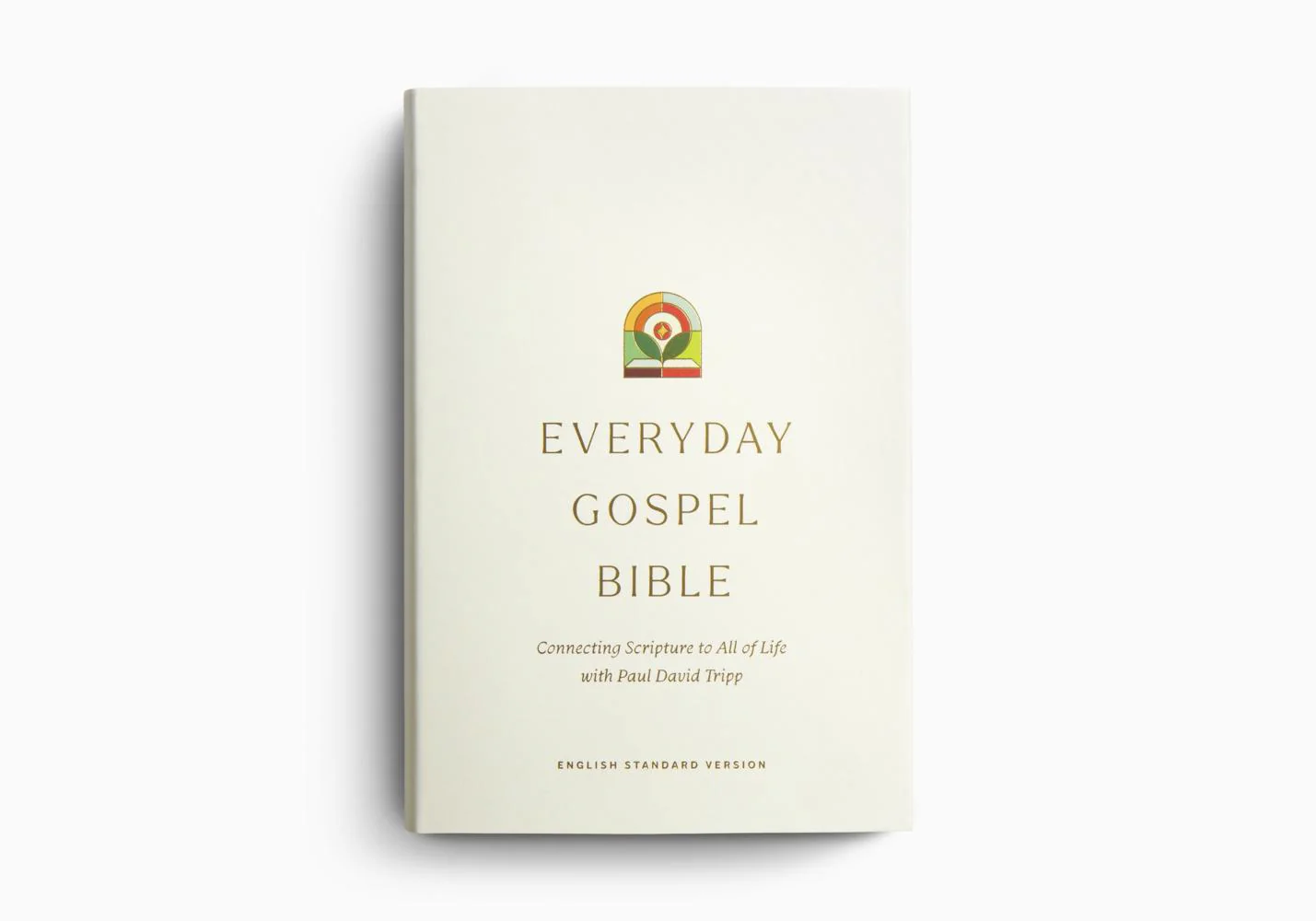 ESV Everyday Gospel Bible: Connecting Scripture to All of Life (Hardcover) - Image 2