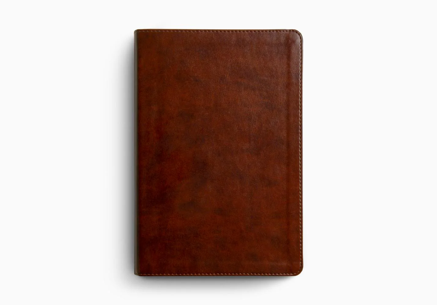 ESV Everyday Gospel Bible: Connecting Scripture to All of Life (Trutone, Chestnut) - Image 2