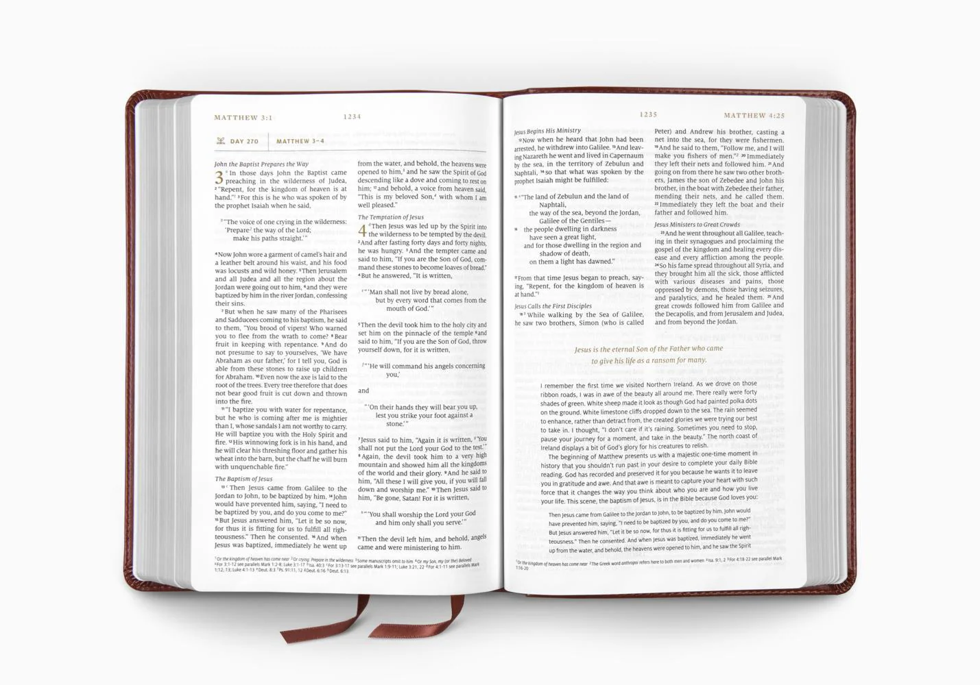 ESV Everyday Gospel Bible: Connecting Scripture to All of Life (Trutone, Chestnut) - Image 3