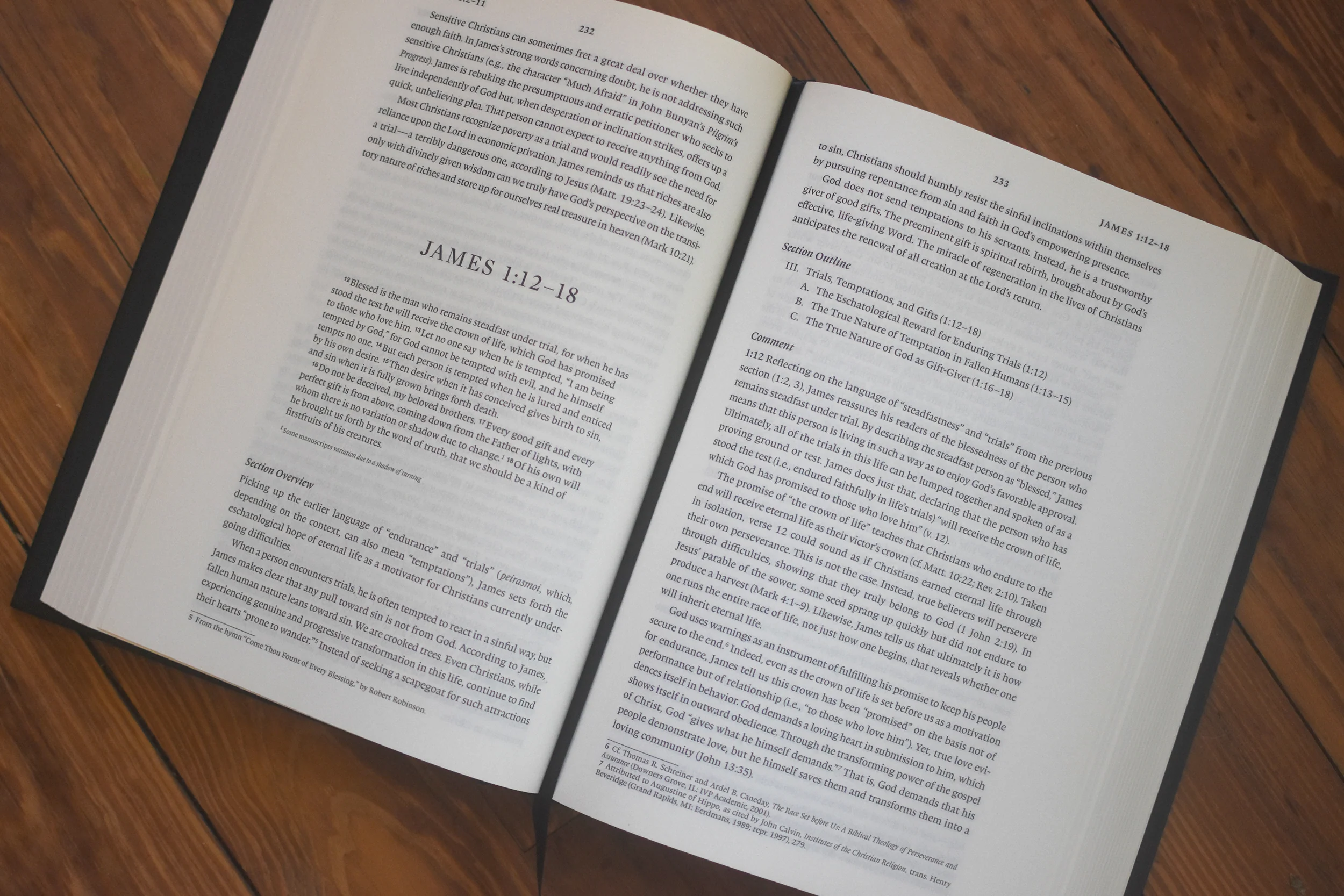 ESV Expository Commentary (12-Volume Set) - Image 3