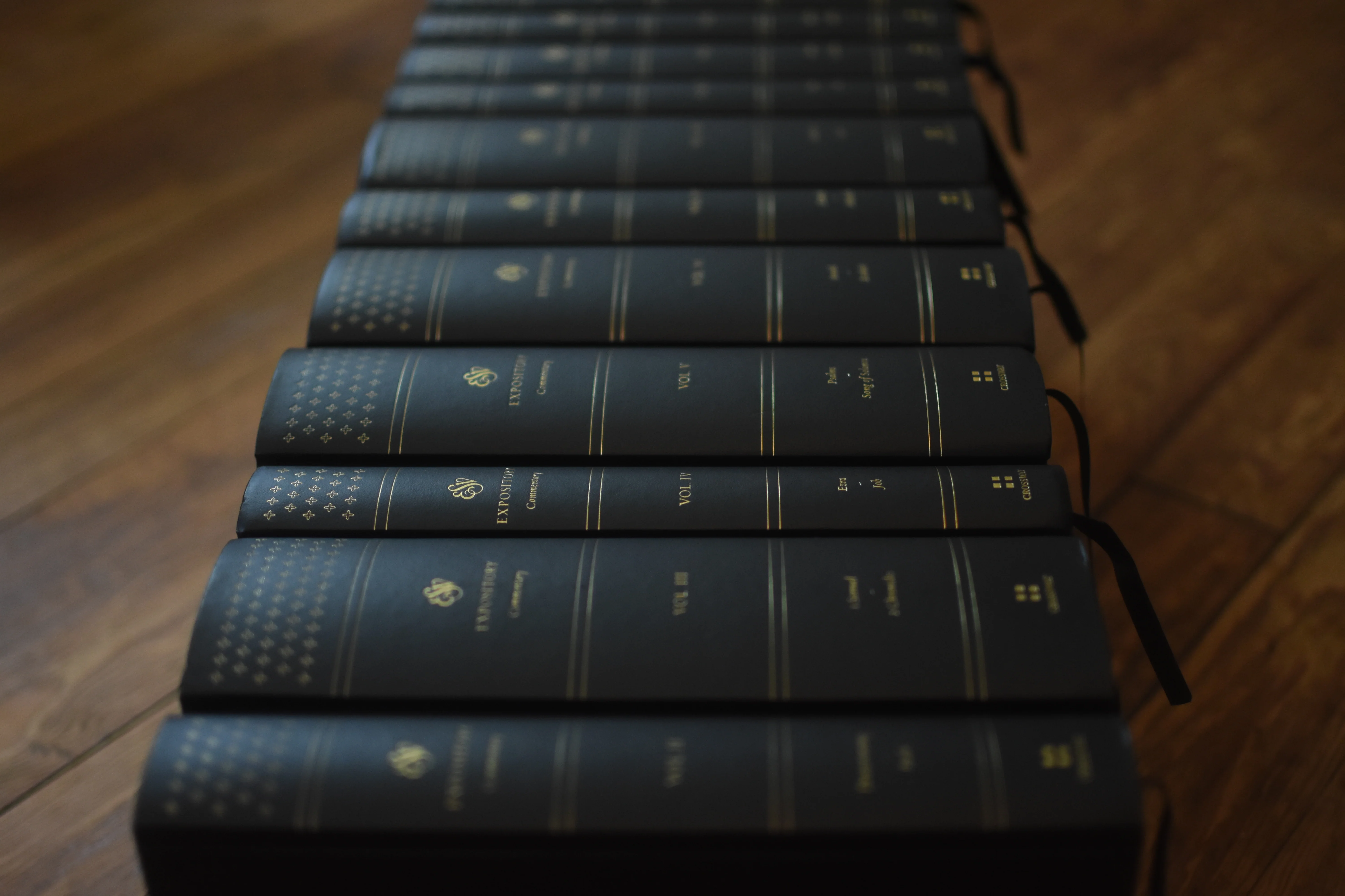 ESV Expository Commentary (12-Volume Set) - Image 4