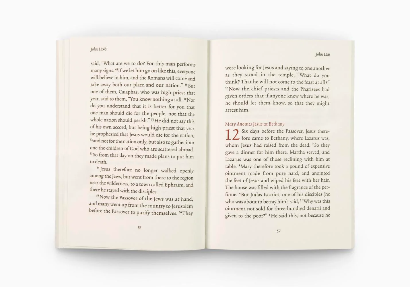 ESV Gospel of John, Share the Good News Edition - Image 3