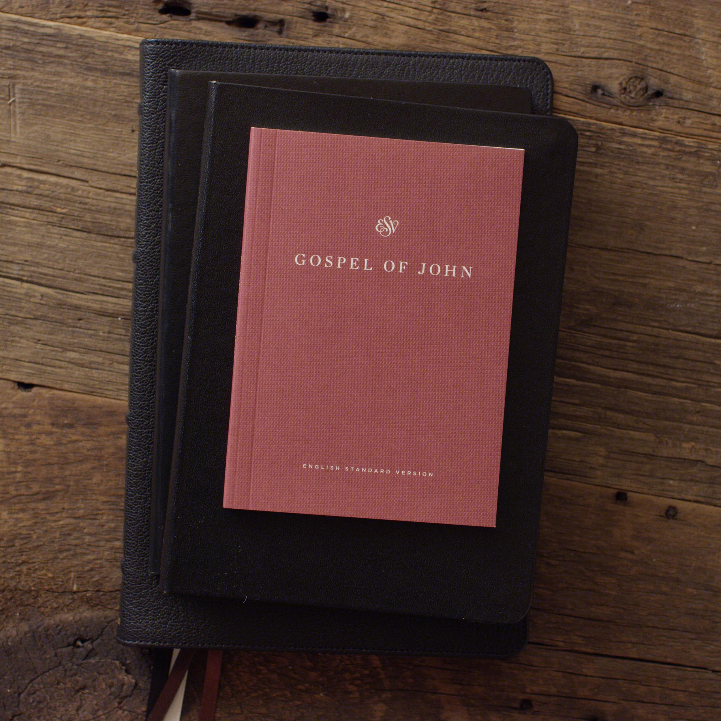 ESV Gospel of John, Share the Good News Edition - Image 4