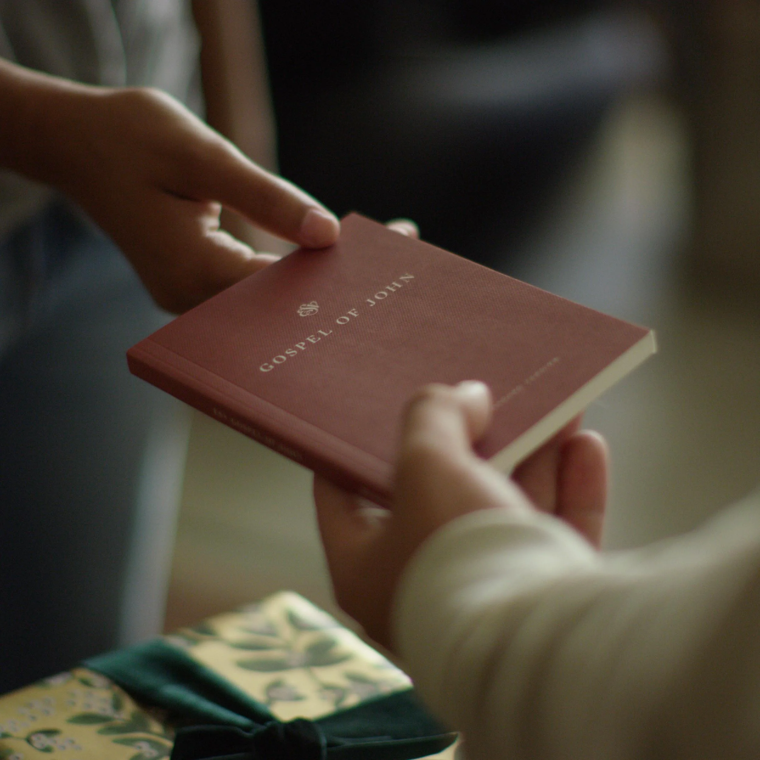 ESV Gospel of John, Share the Good News Edition - Image 5