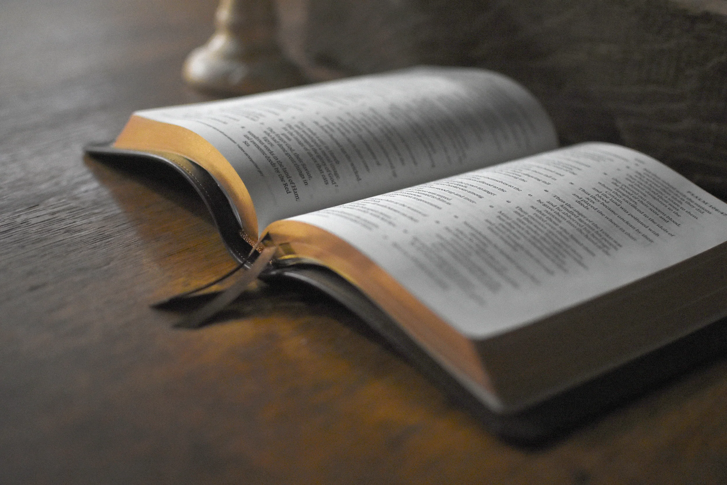 ESV Heirloom Bible, Omega Edition (Wellington Leather, Brown) - Image 2