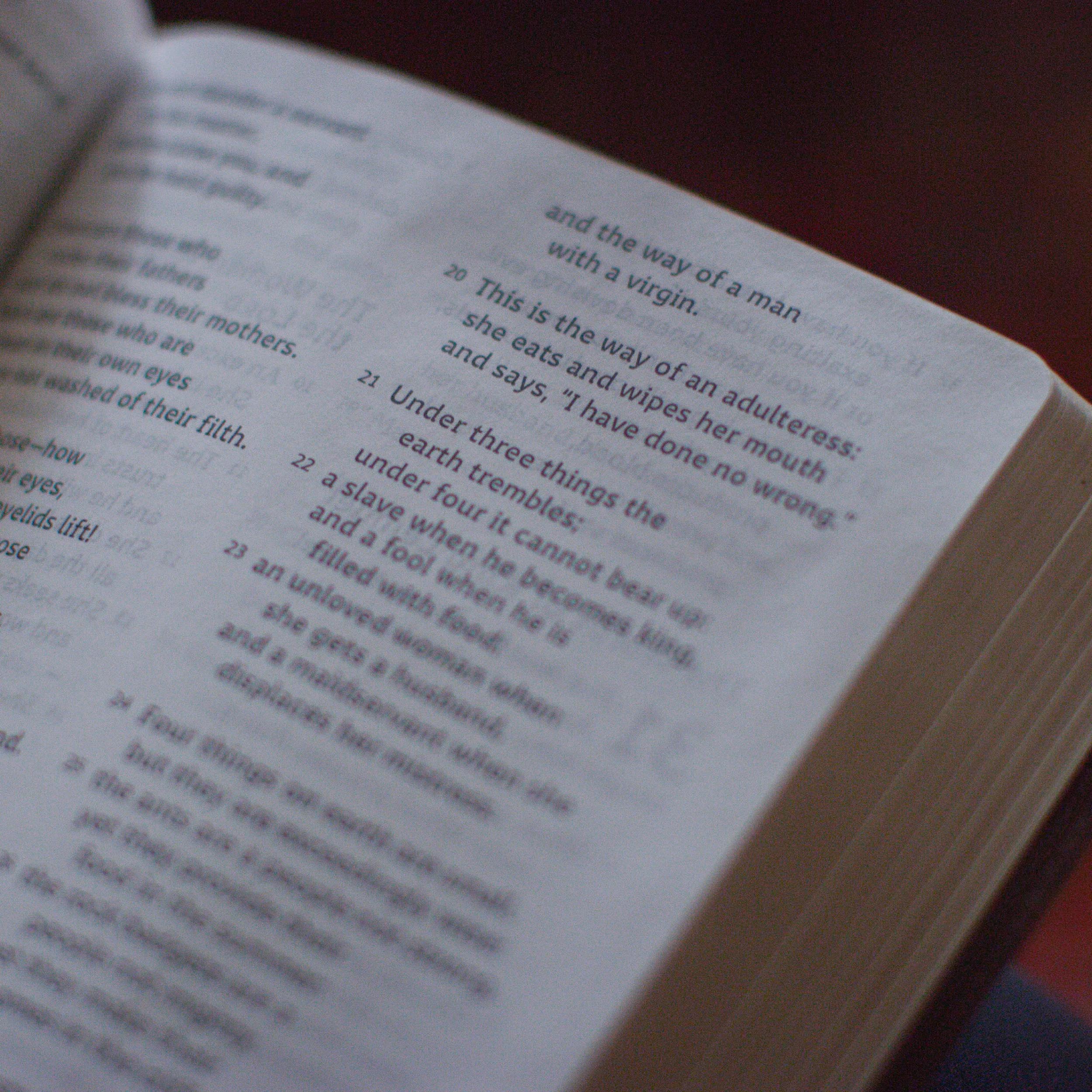ESV Holy Bible: Dyslexia-Friendly Edition (Trutone, Brown) - Image 3