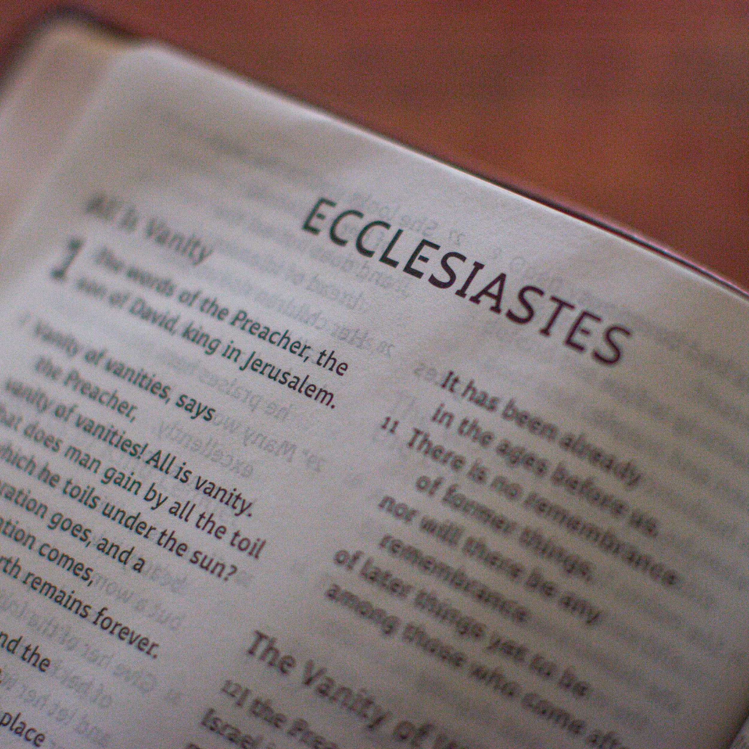 ESV Holy Bible: Dyslexia-Friendly Edition (Trutone, Brown) - Image 4