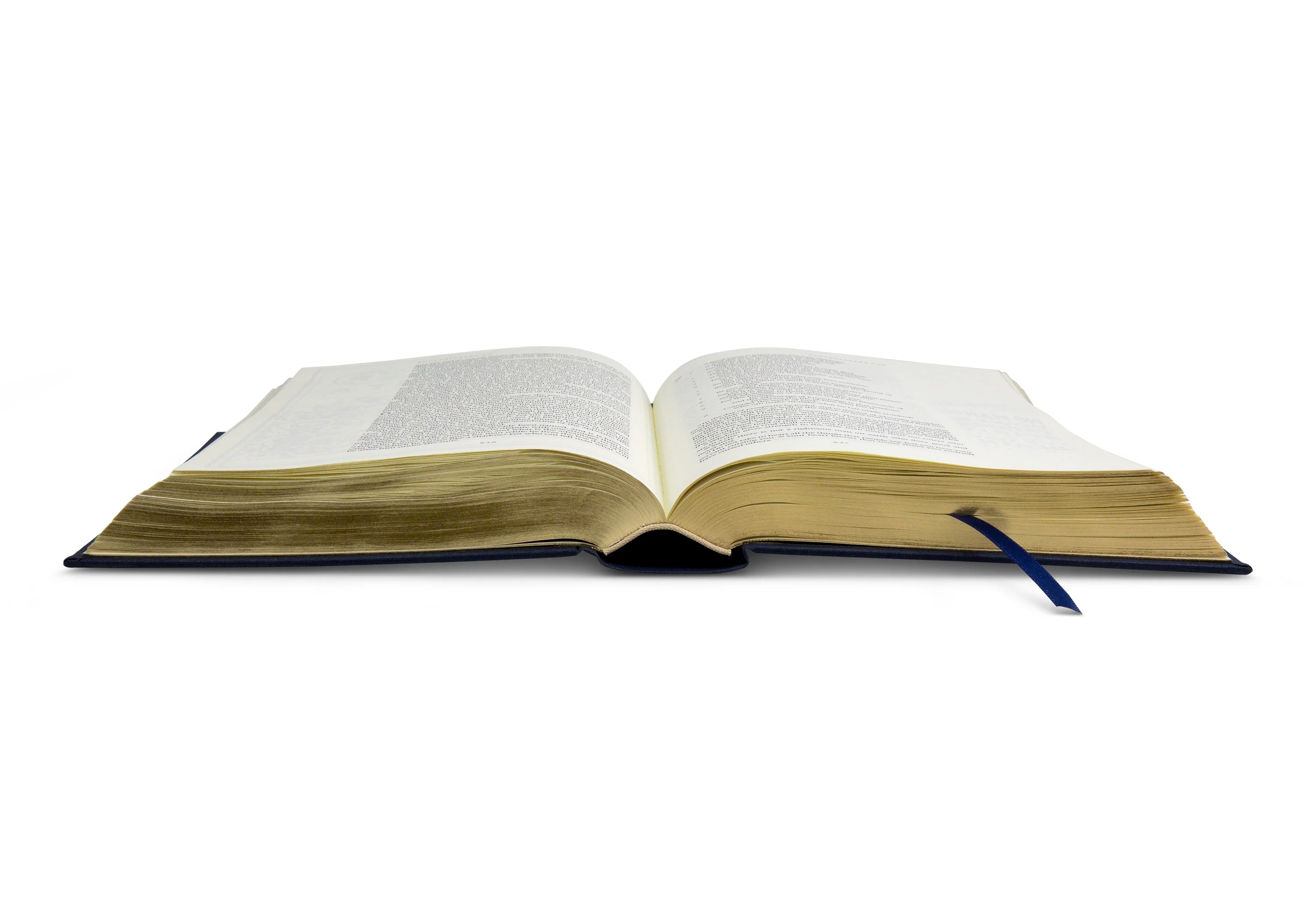 ESV Illuminated Bible, Art Journaling Edition (Cloth Over Board, Navy) - Image 4
