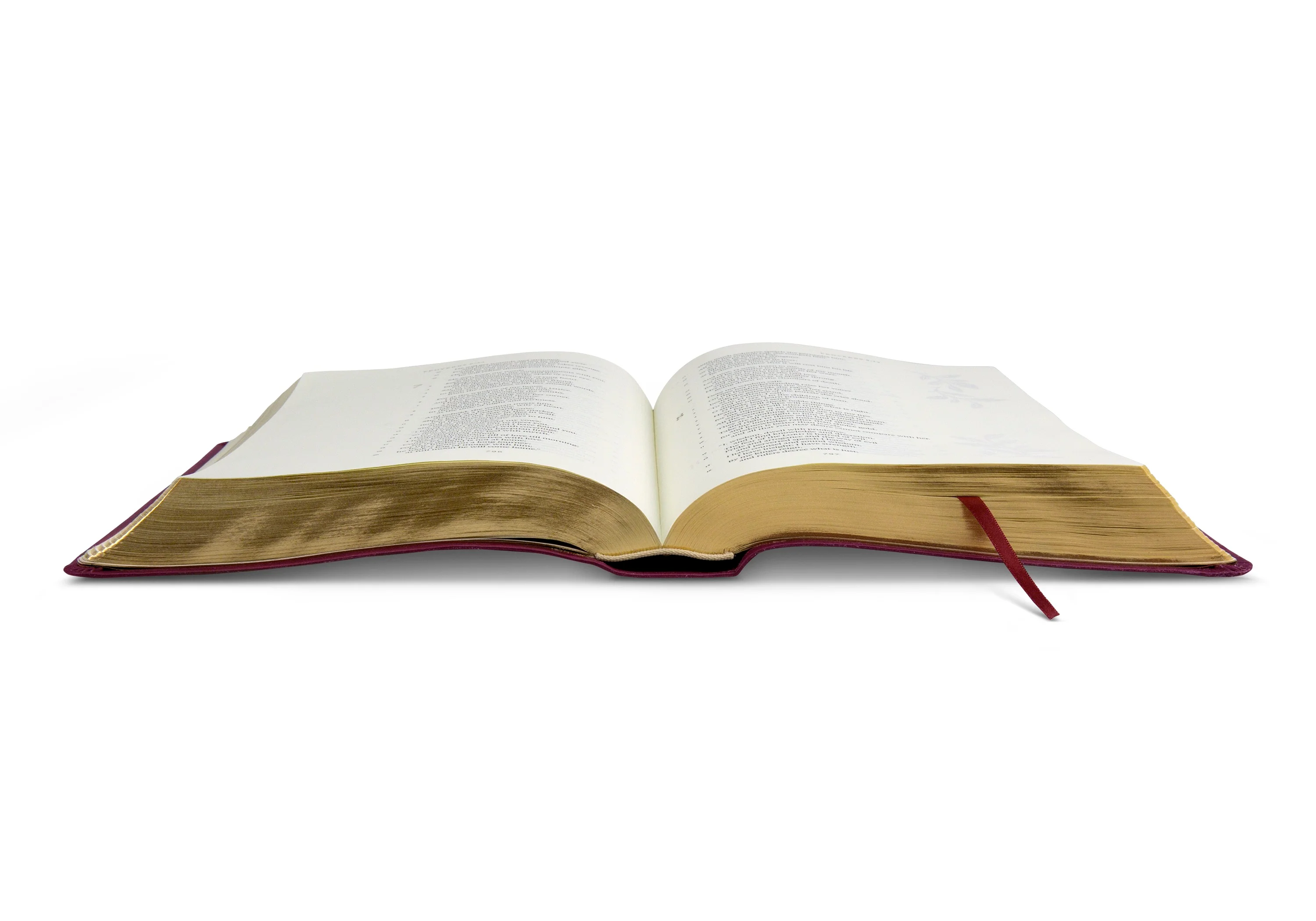 ESV Illuminated Bible, Art Journaling Edition (TruTone, Burgundy) - Image 8