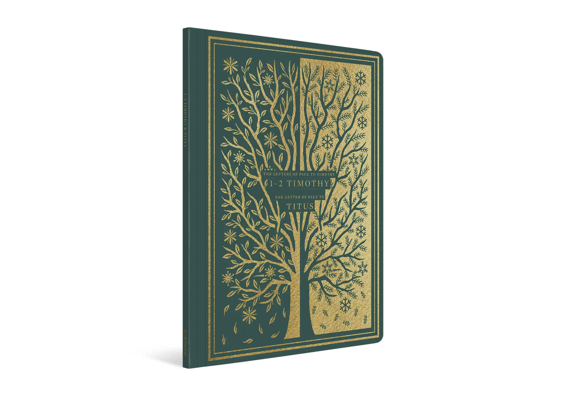 ESV Illuminated Scripture Journal: 1-2 Timothy and Titus (Paperback) - Image 2