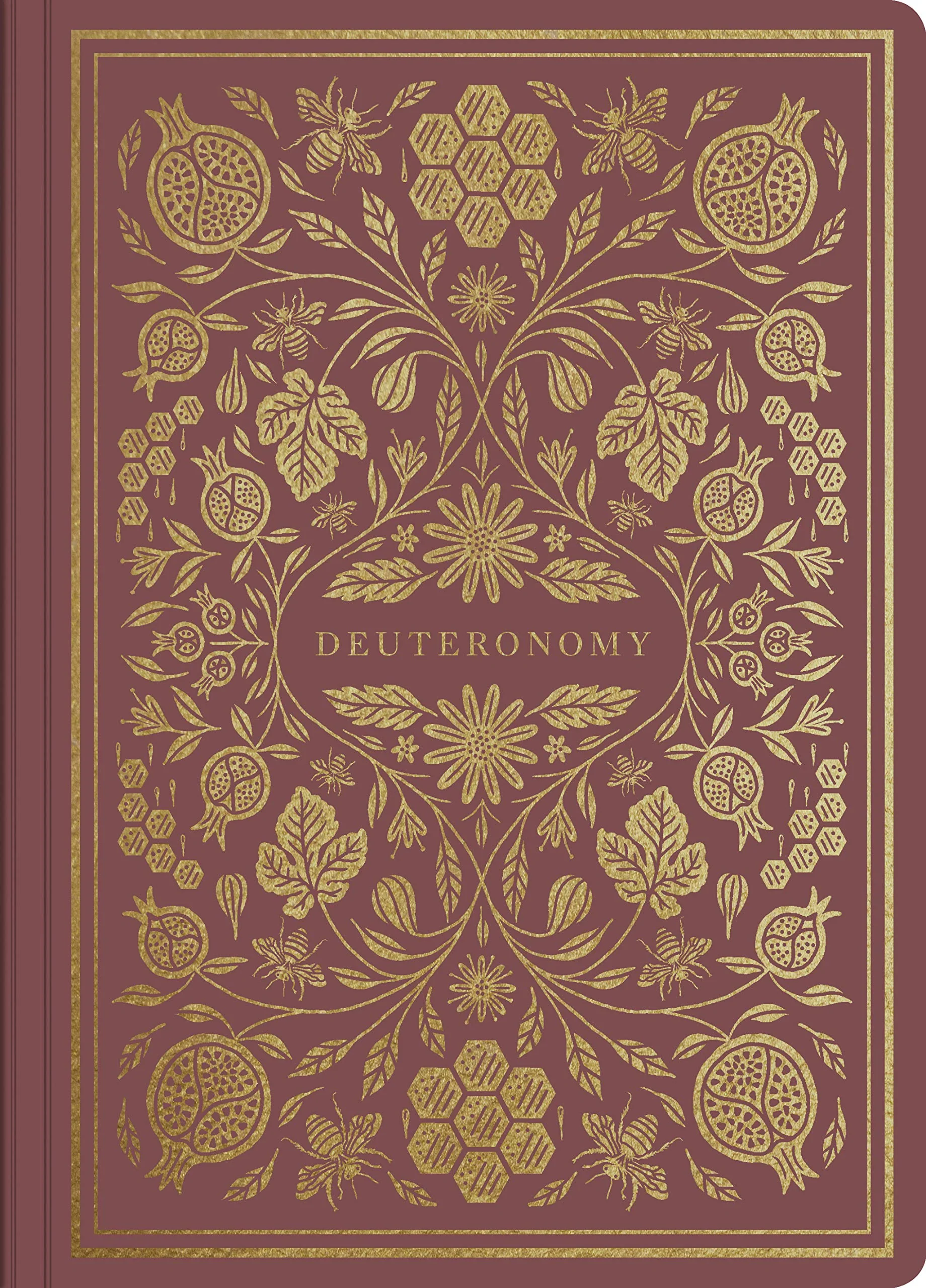 ESV Illuminated Scripture Journal: Deuteronomy (Paperback)