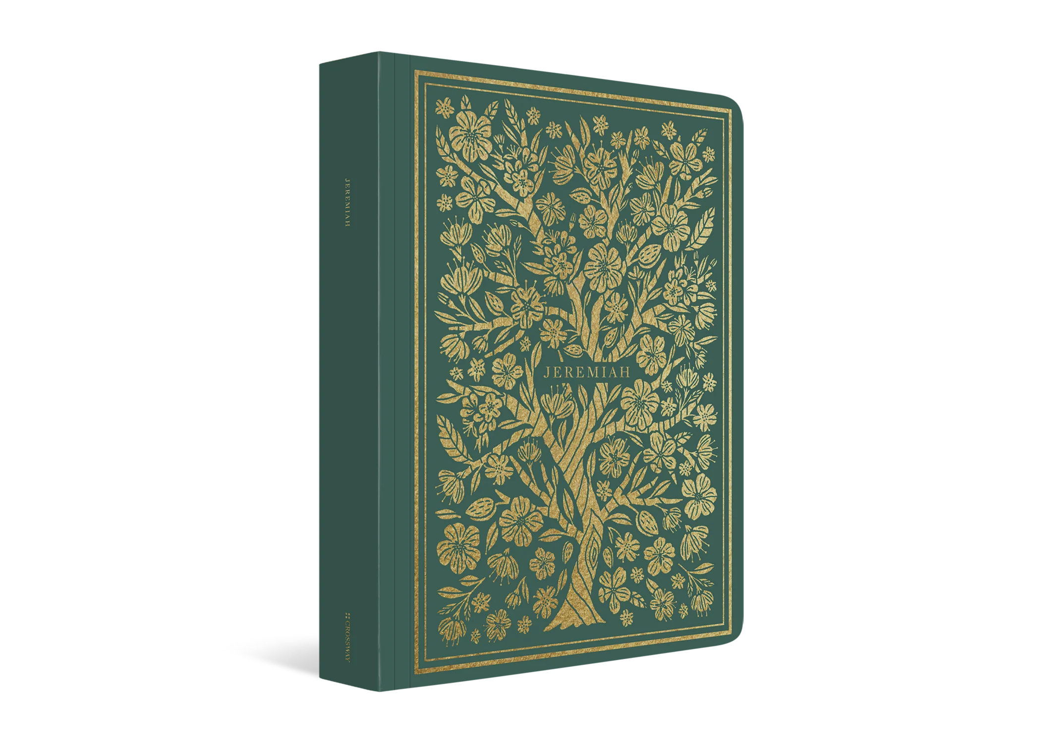 ESV Illuminated Scripture Journal: Jeremiah (Paperback) - Image 2
